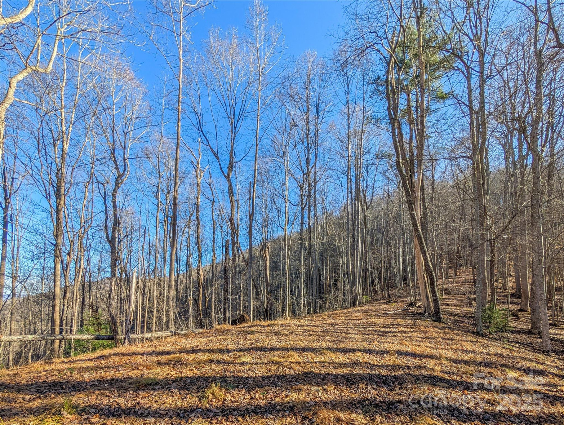 000 Bear Mountain Ridge - Photo 17