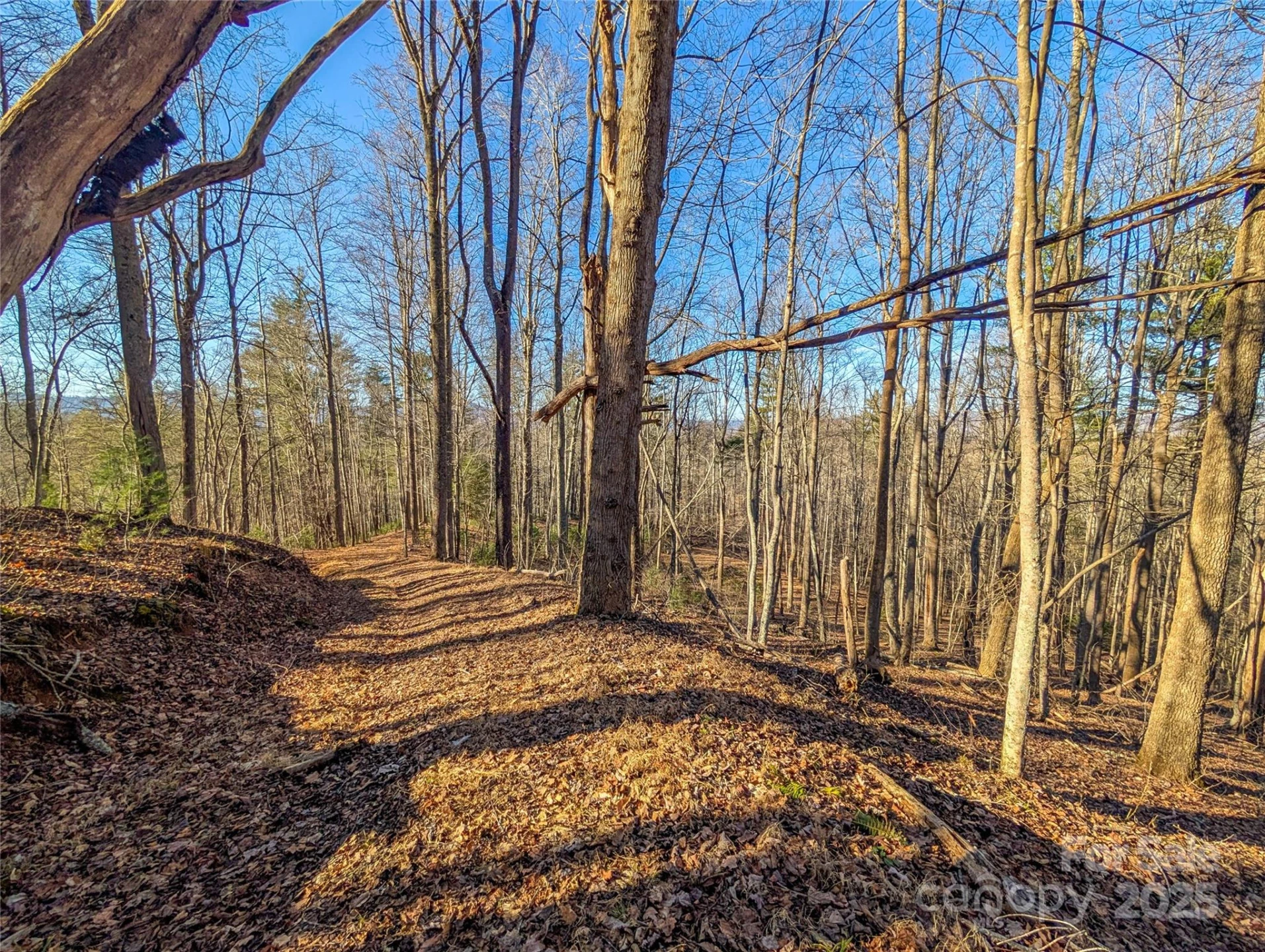 000 Bear Mountain Ridge - Photo 18