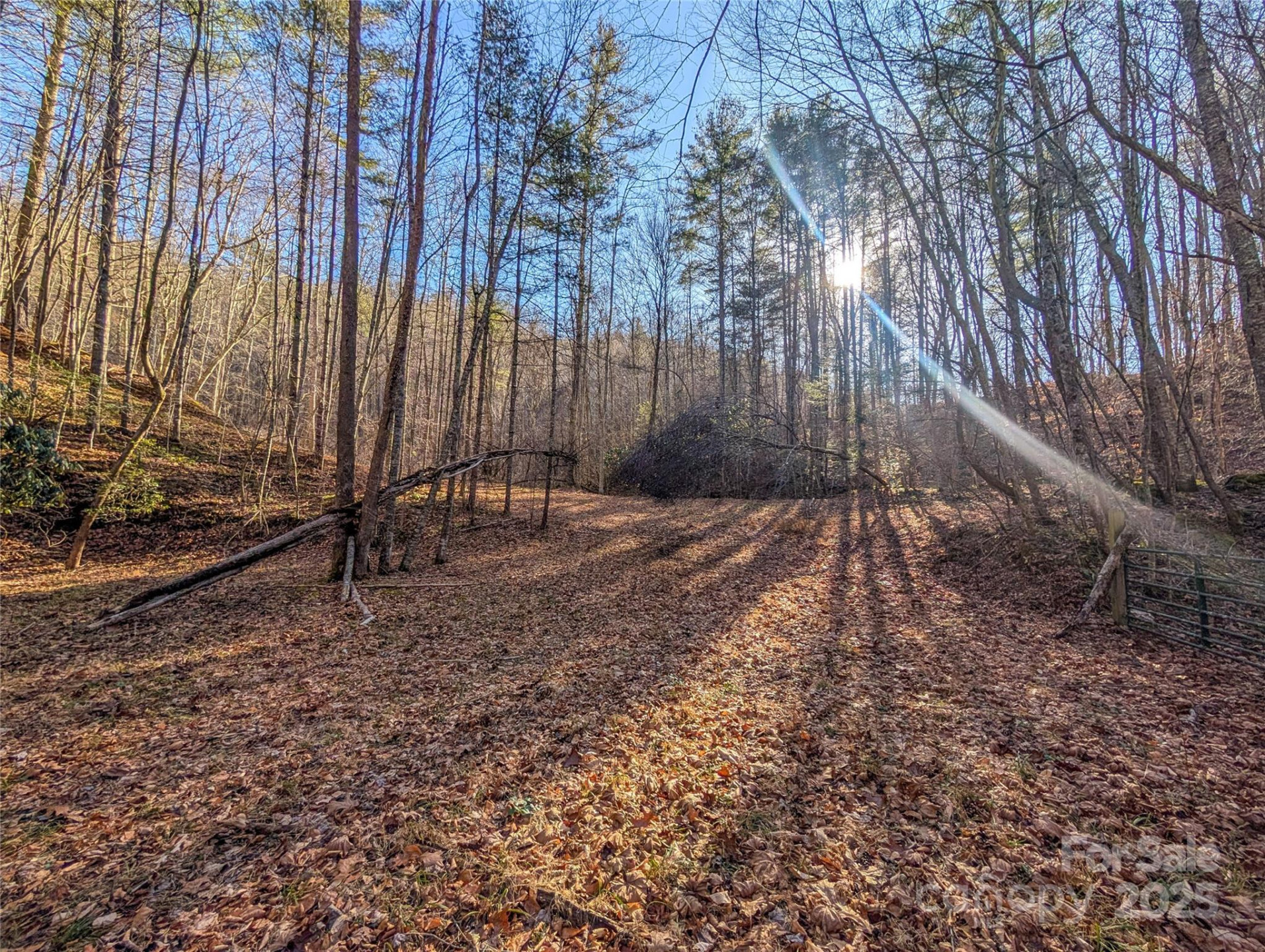 000 Bear Mountain Ridge - Photo 19