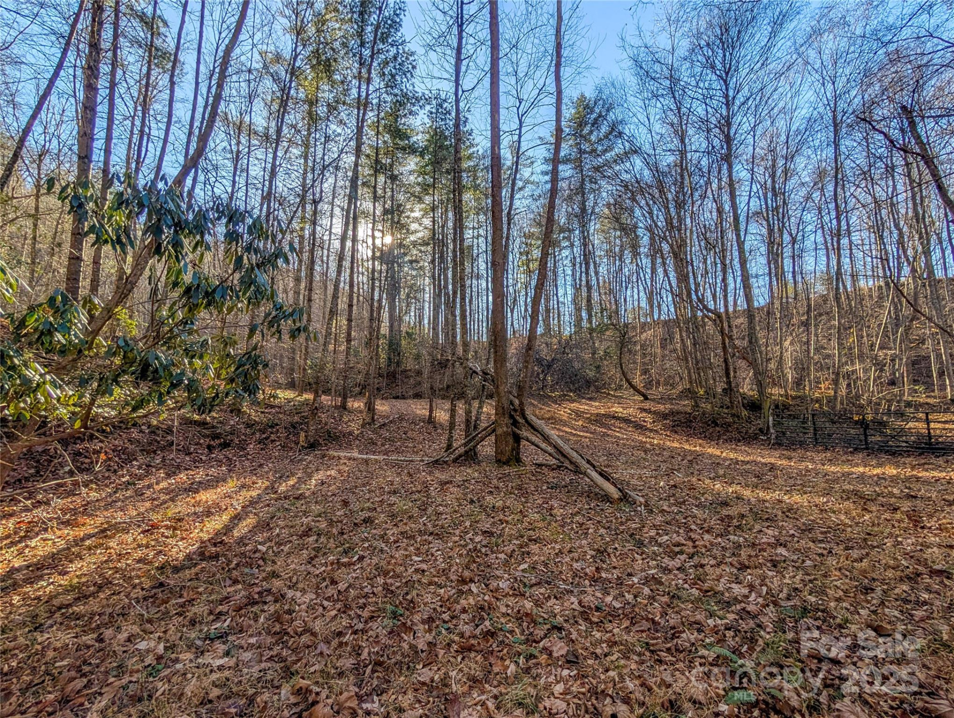 000 Bear Mountain Ridge - Photo 20
