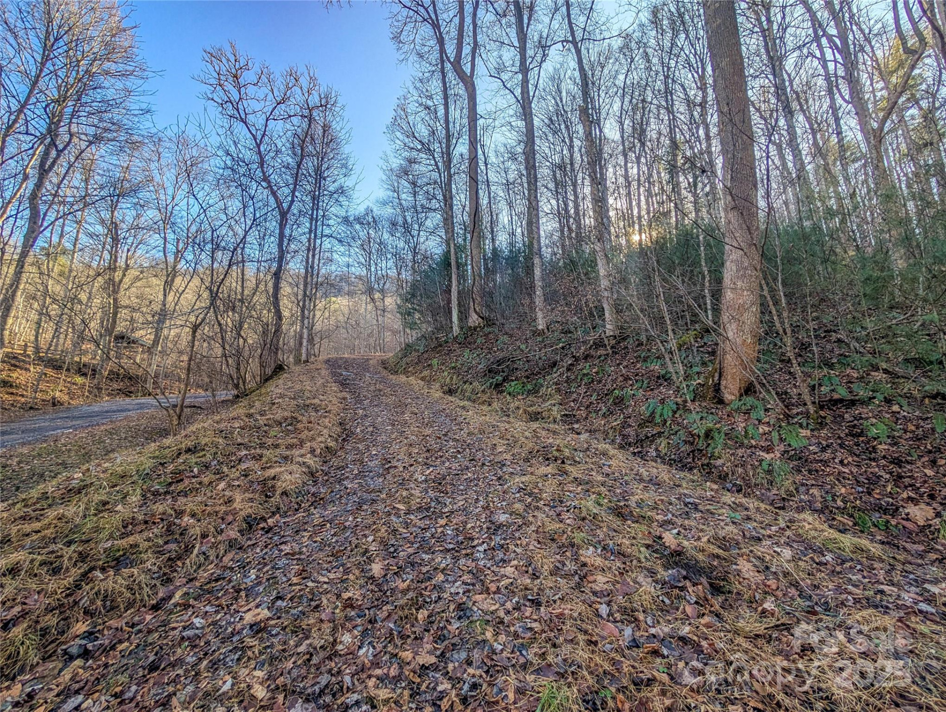 000 Bear Mountain Ridge - Photo 3