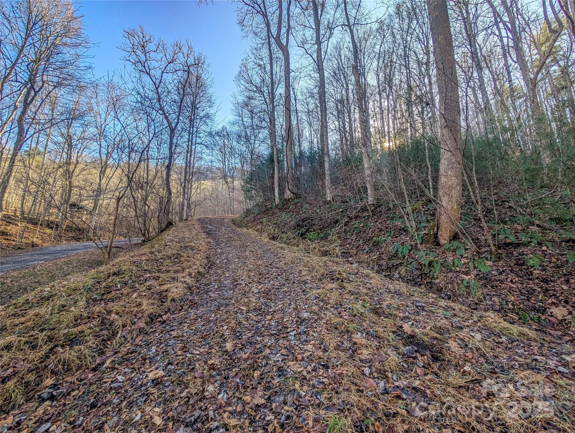 000 Bear Mountain Ridge - Photo 3