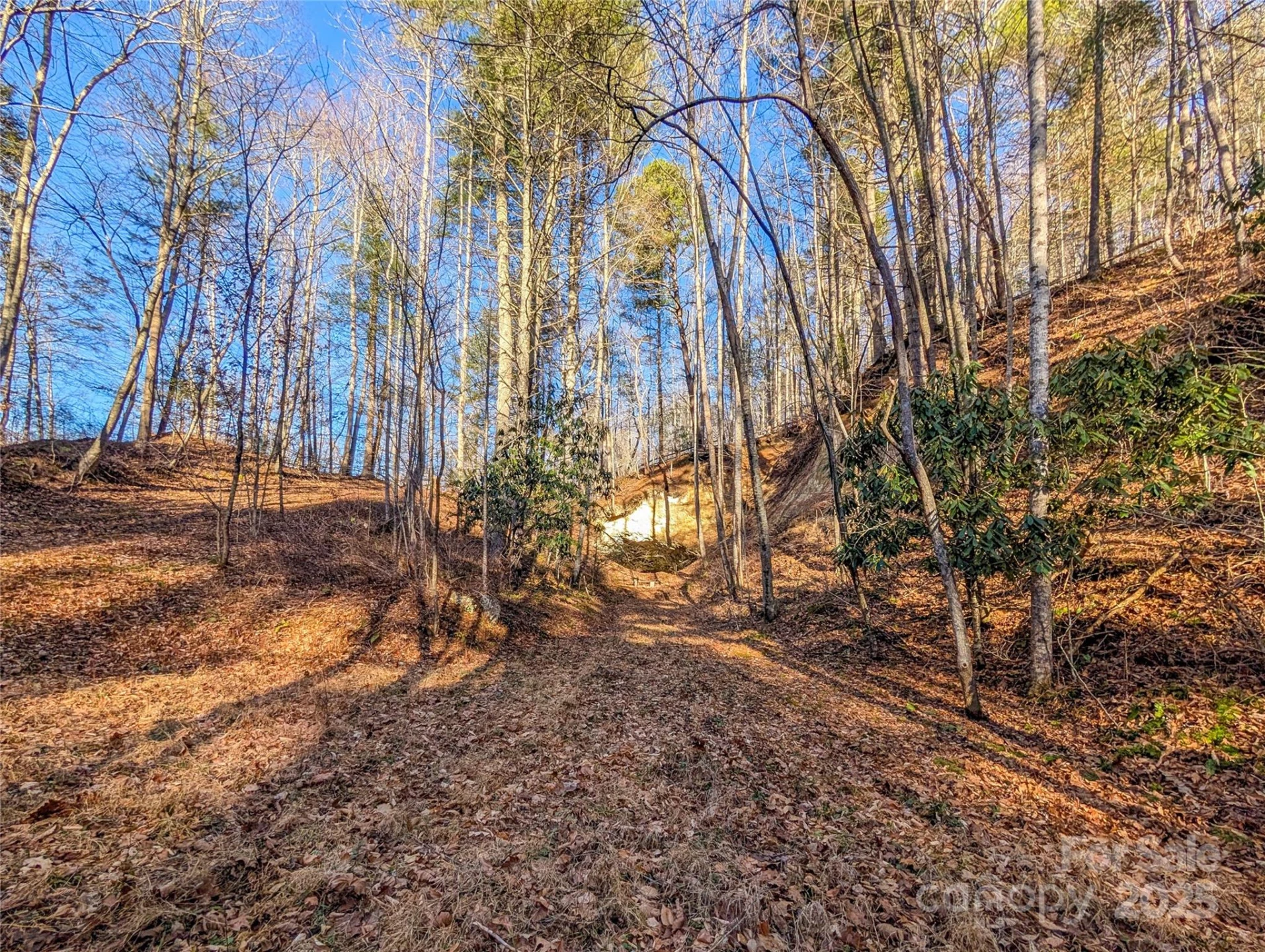 000 Bear Mountain Ridge - Photo 21