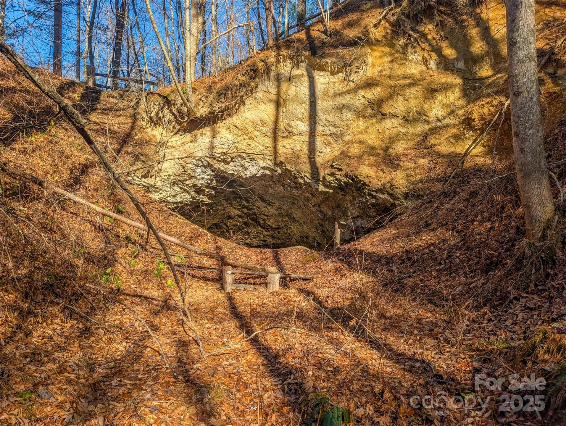 000 Bear Mountain Ridge - Photo 22