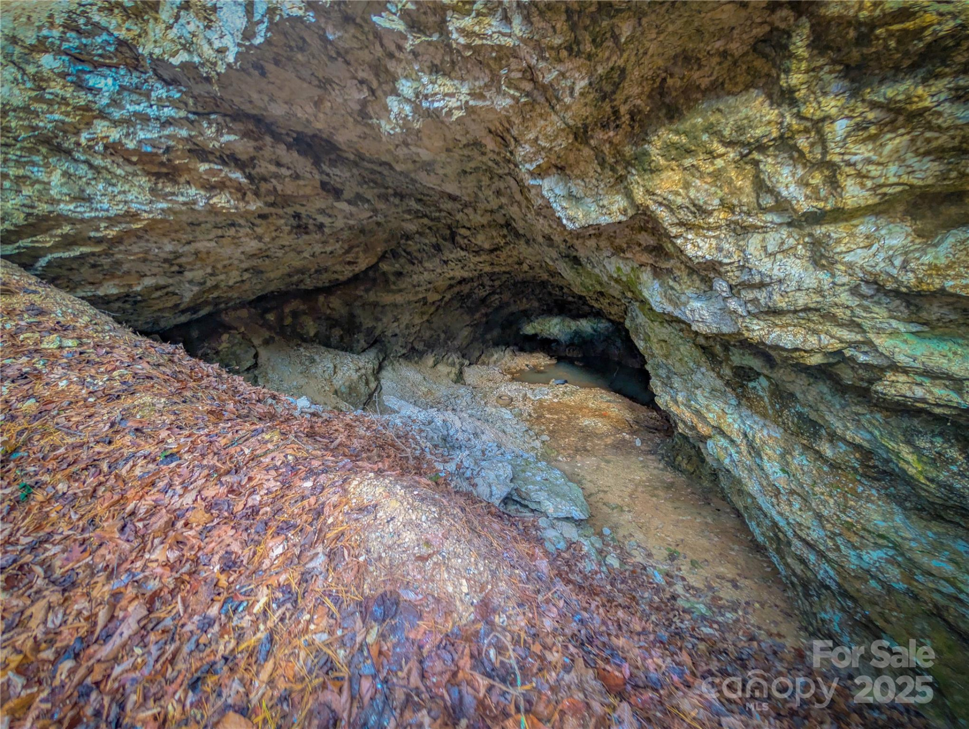 000 Bear Mountain Ridge - Photo 23