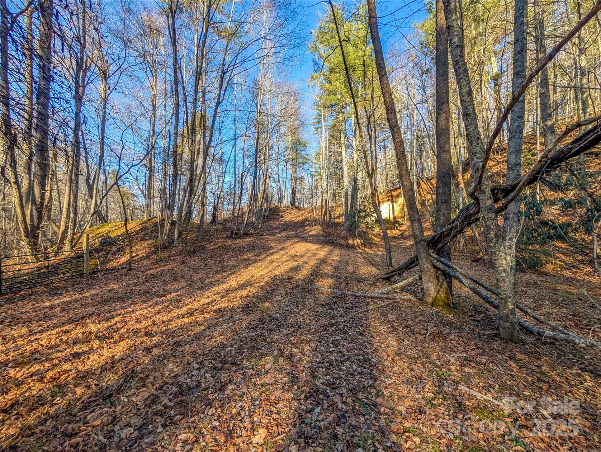 000 Bear Mountain Ridge - Photo 24