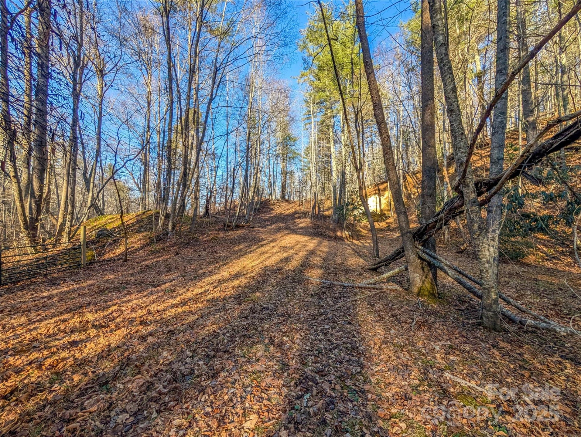 000 Bear Mountain Ridge - Photo 24