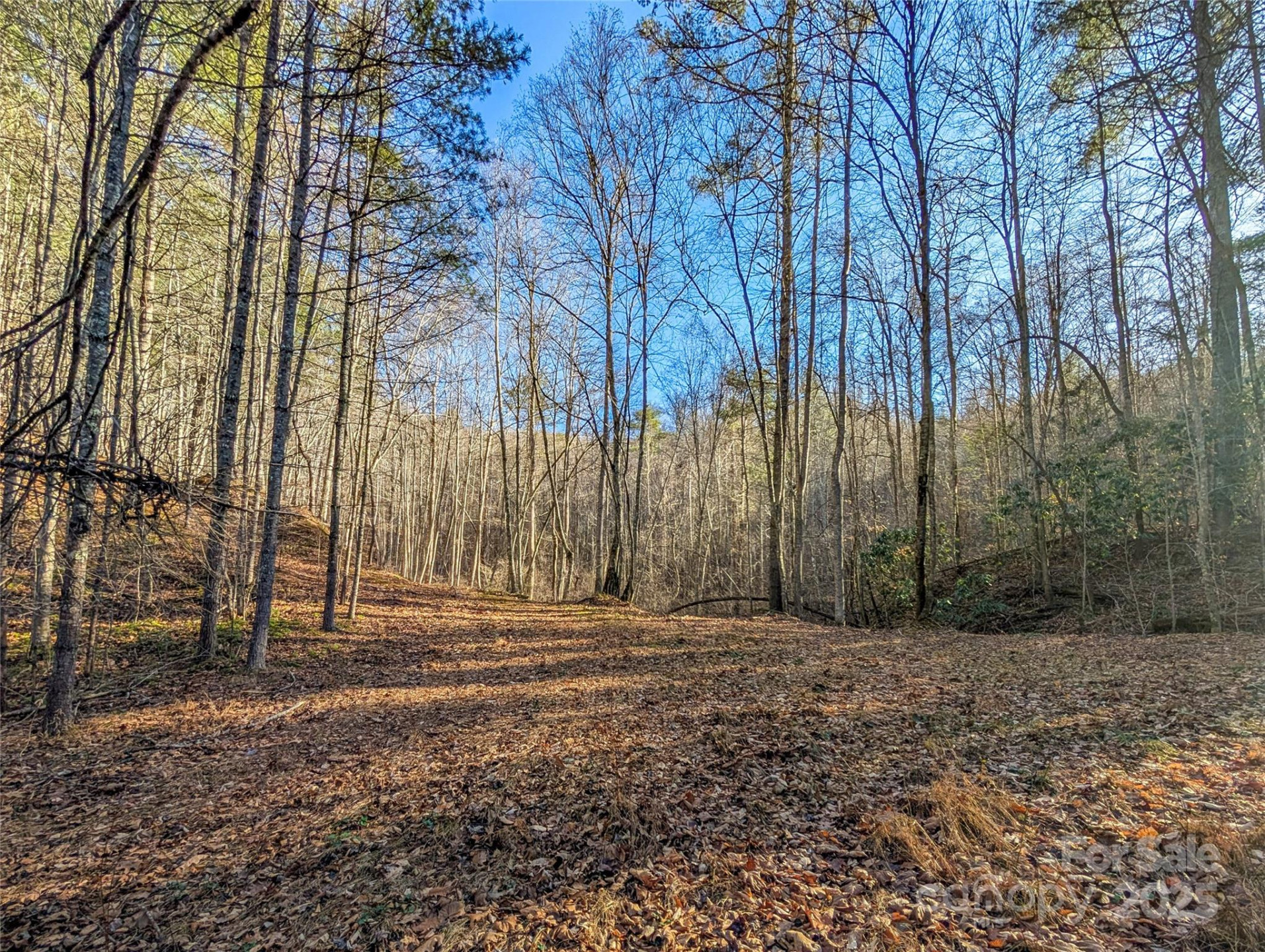 000 Bear Mountain Ridge - Photo 25