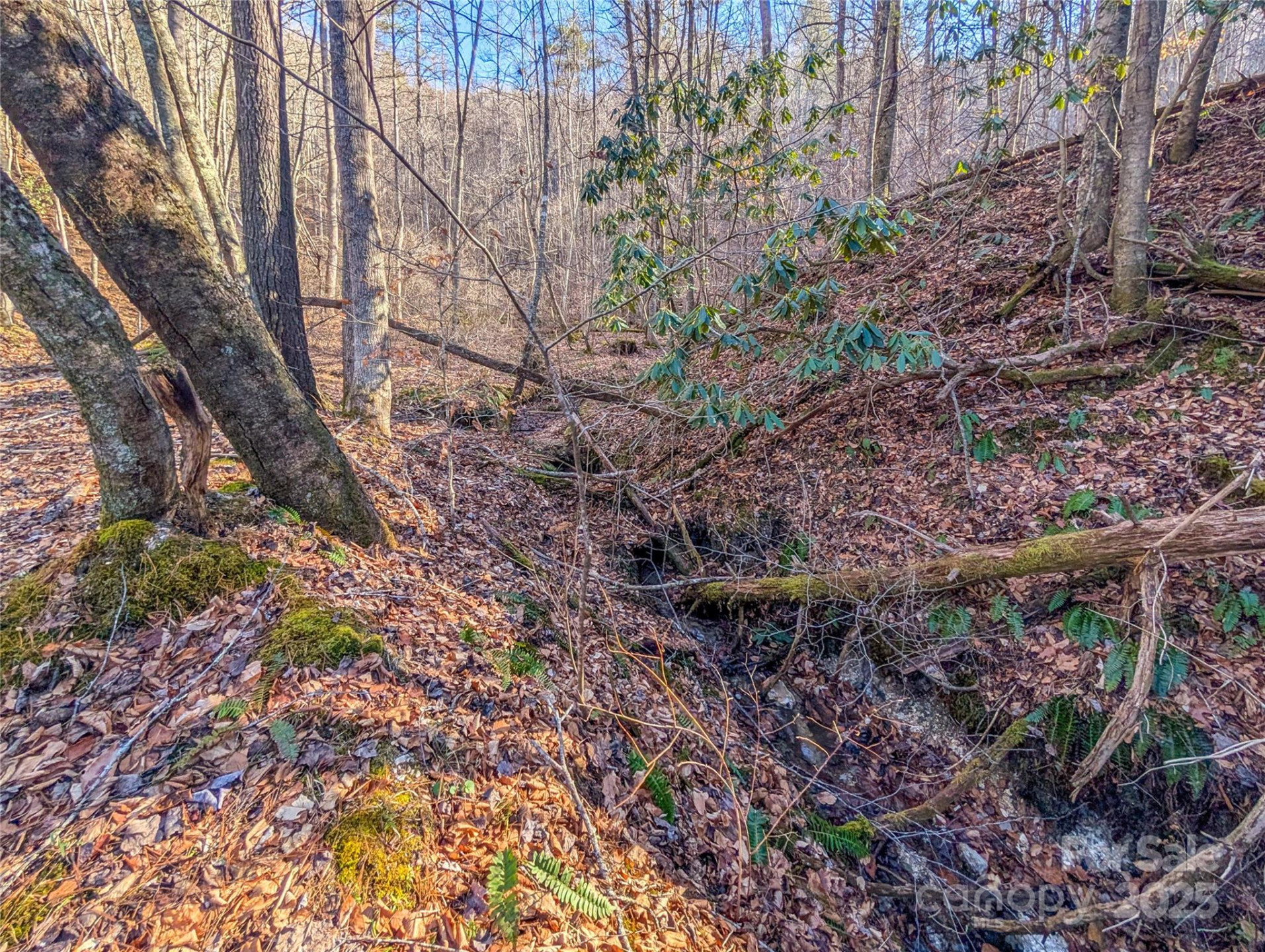 000 Bear Mountain Ridge - Photo 26