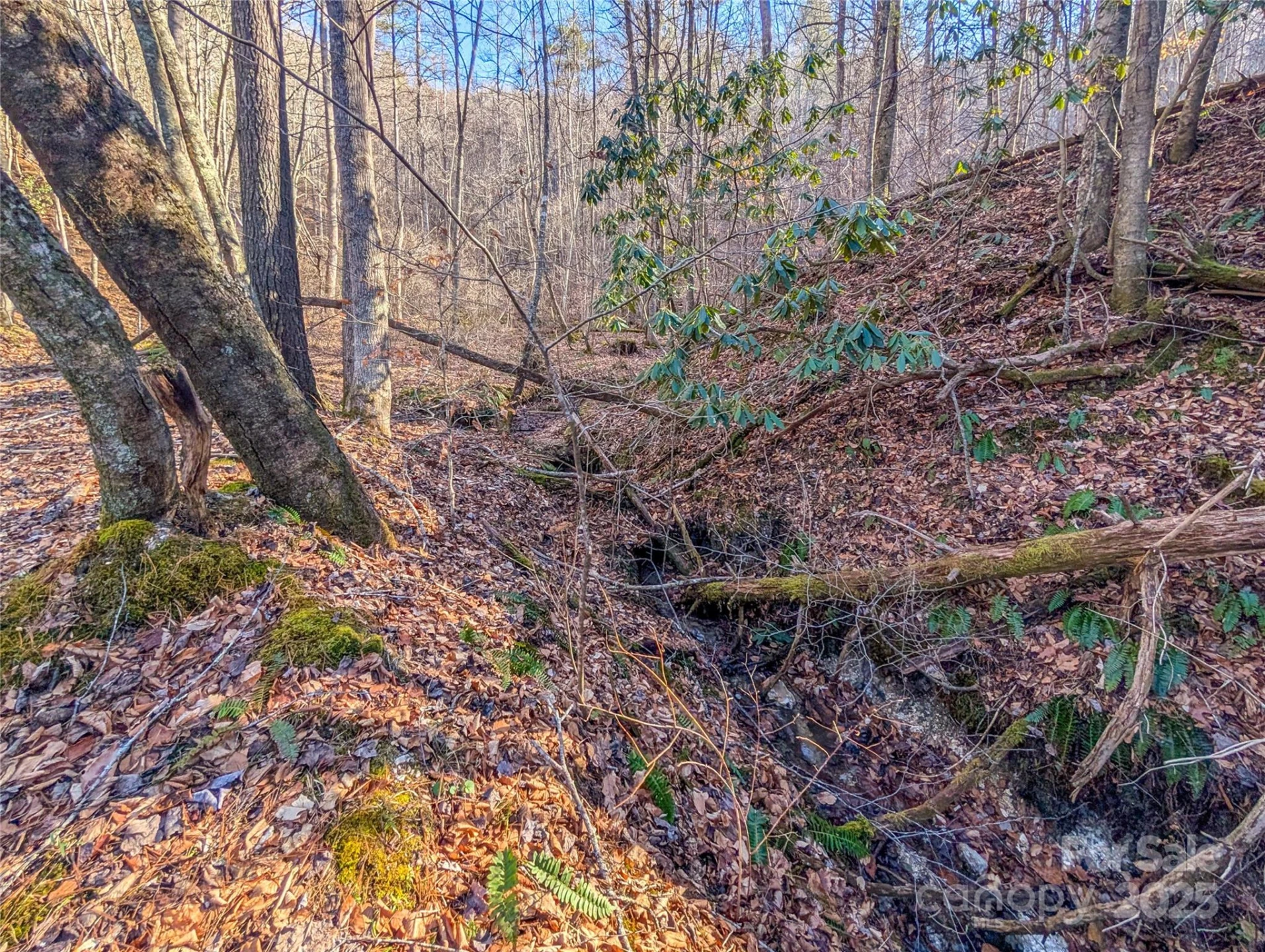 000 Bear Mountain Ridge - Photo 26