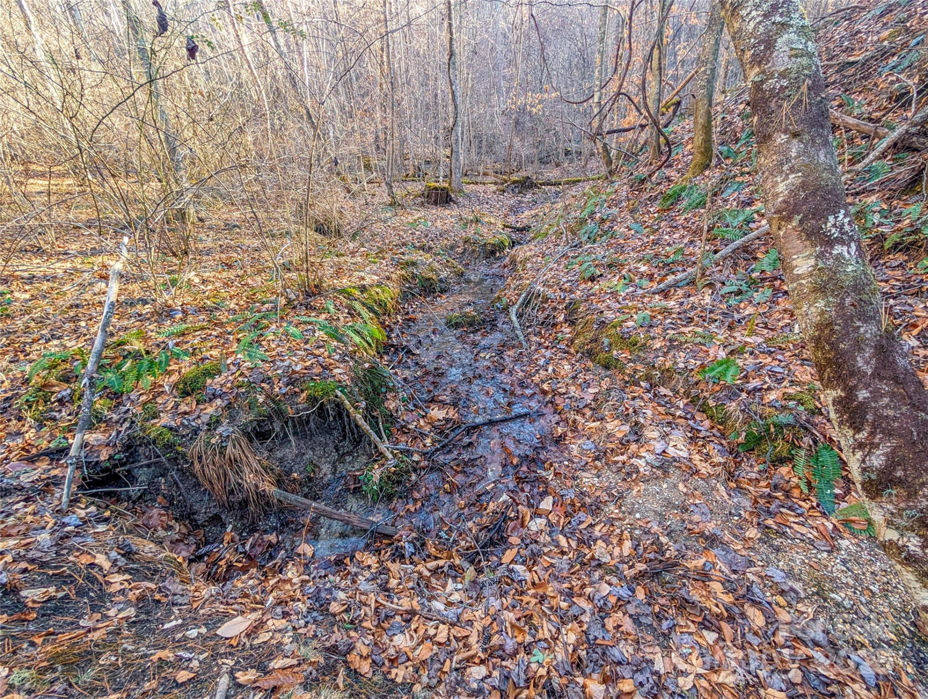 000 Bear Mountain Ridge - Photo 27