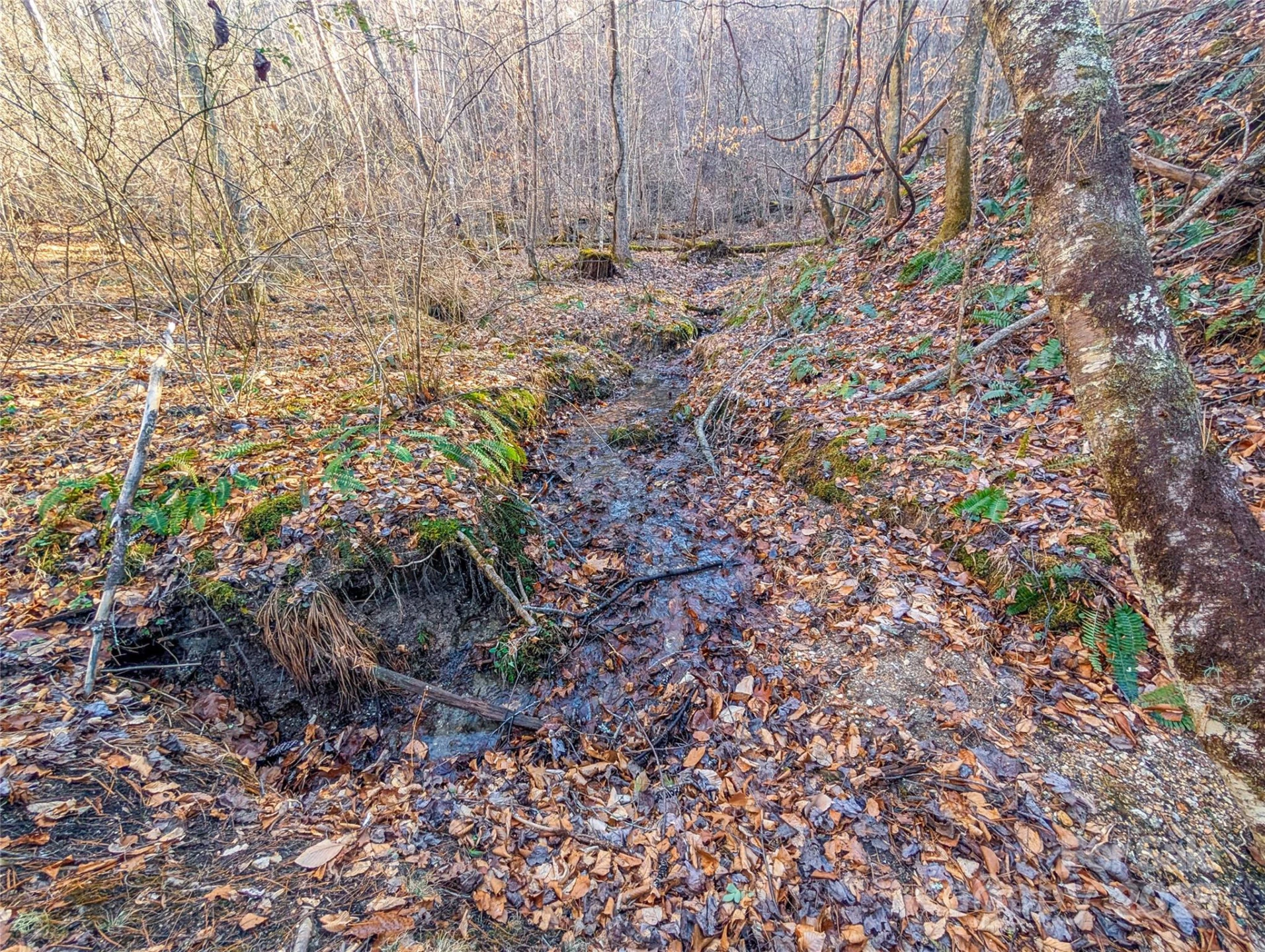 000 Bear Mountain Ridge - Photo 27