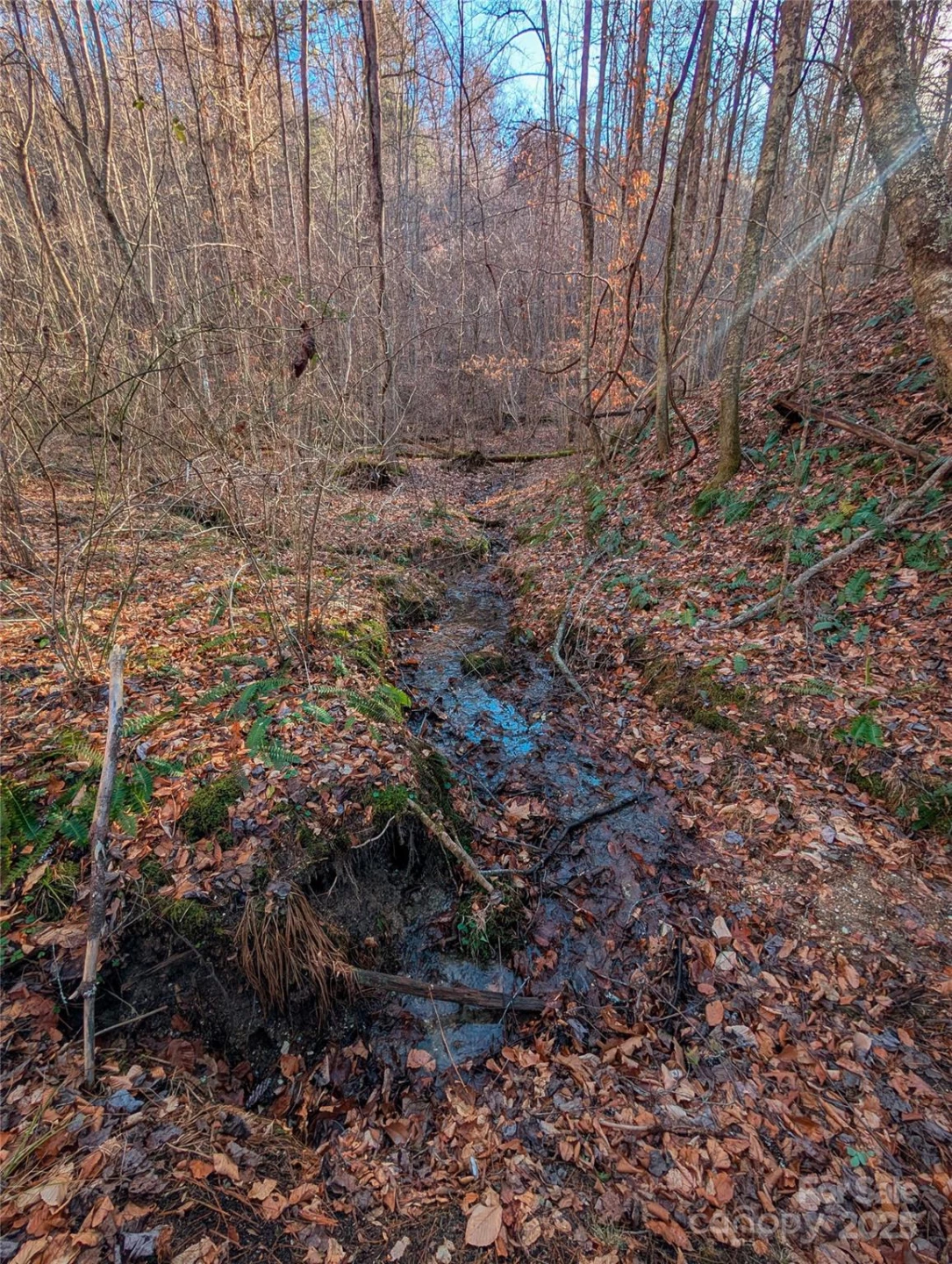 000 Bear Mountain Ridge - Photo 28