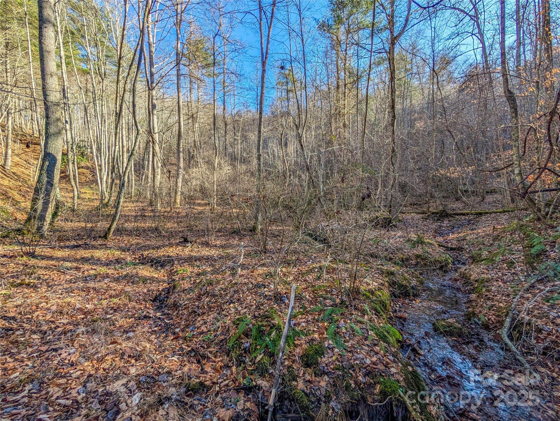 000 Bear Mountain Ridge - Photo 29