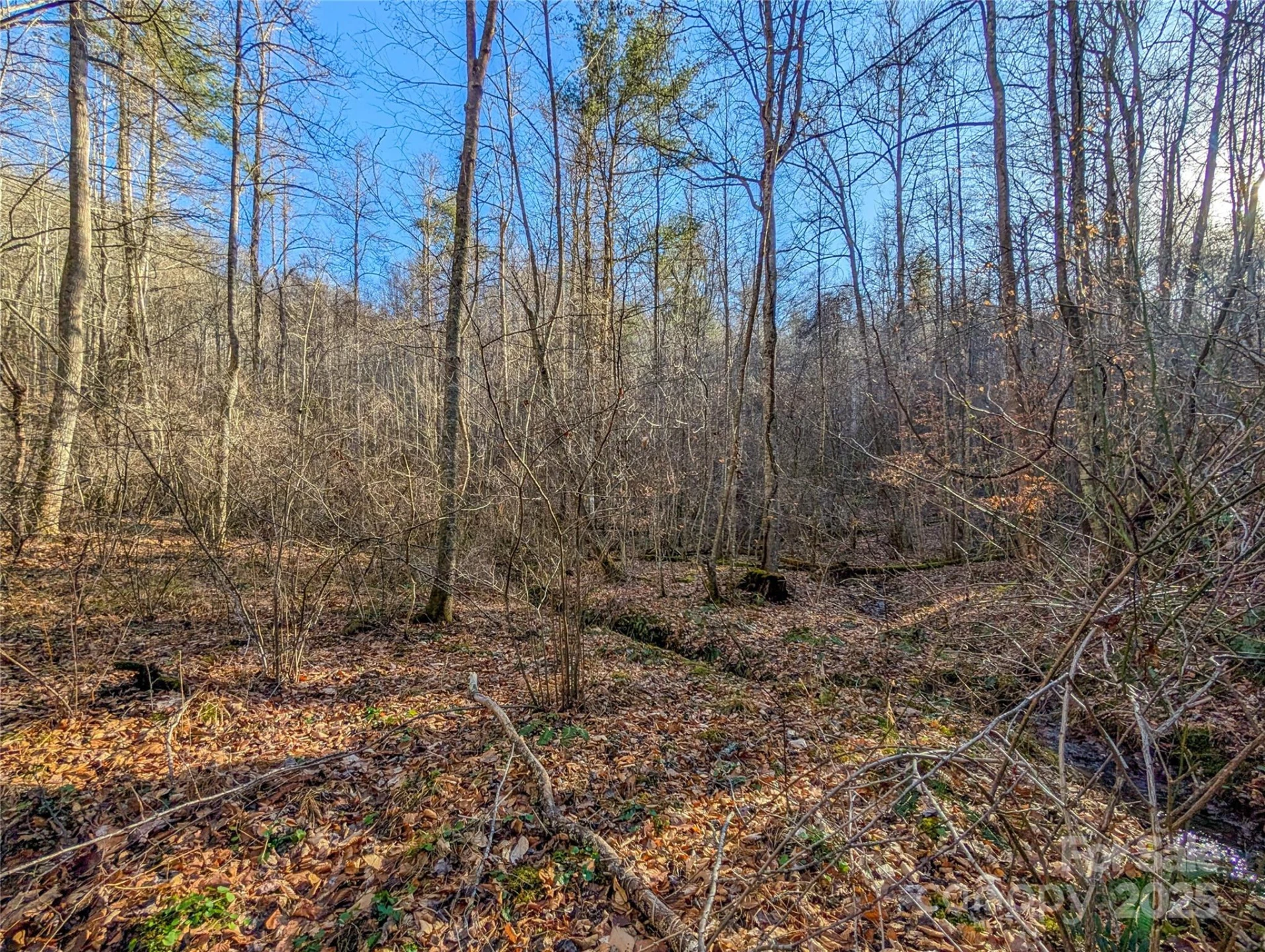000 Bear Mountain Ridge - Photo 30