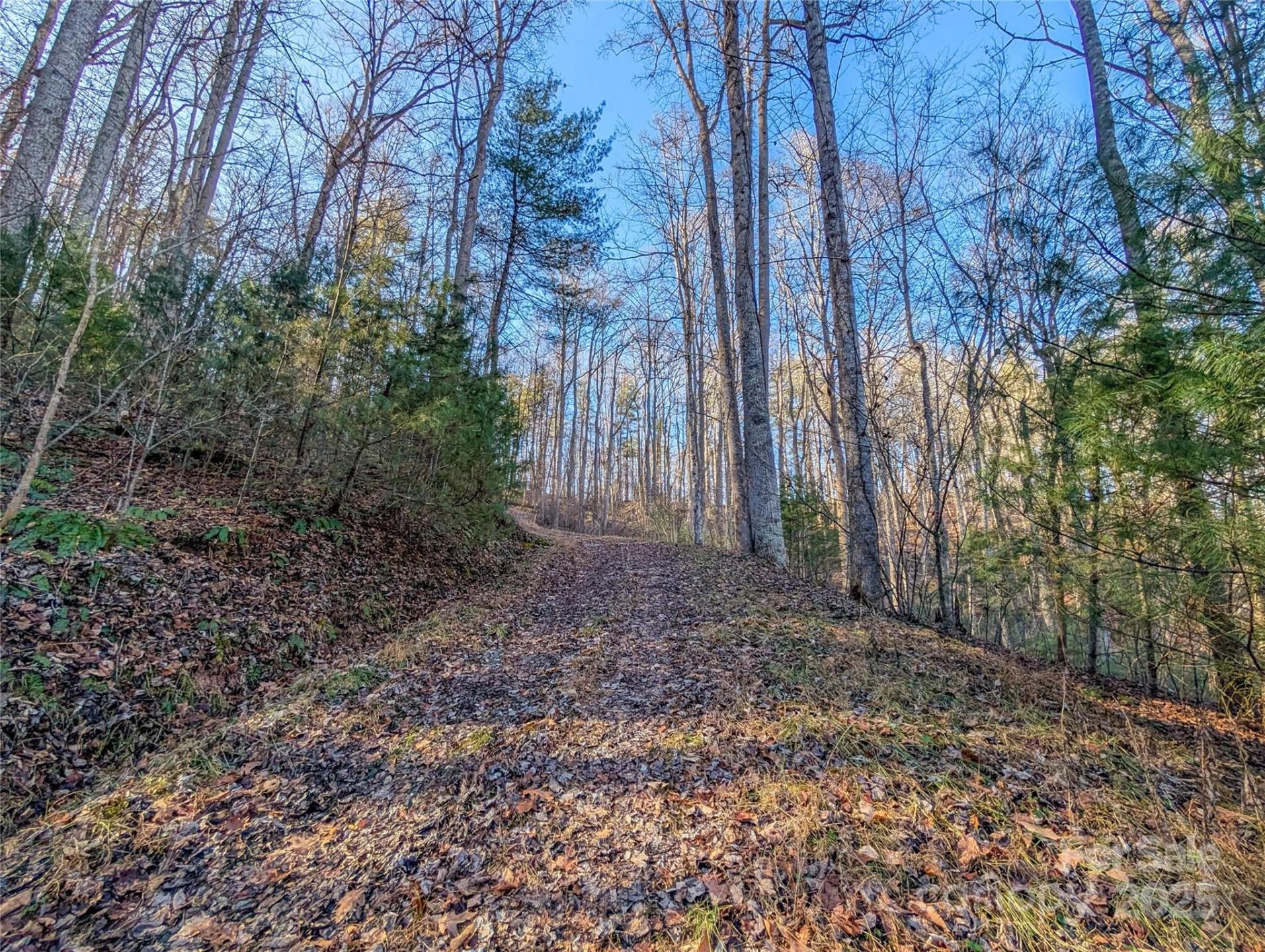 000 Bear Mountain Ridge - Photo 4