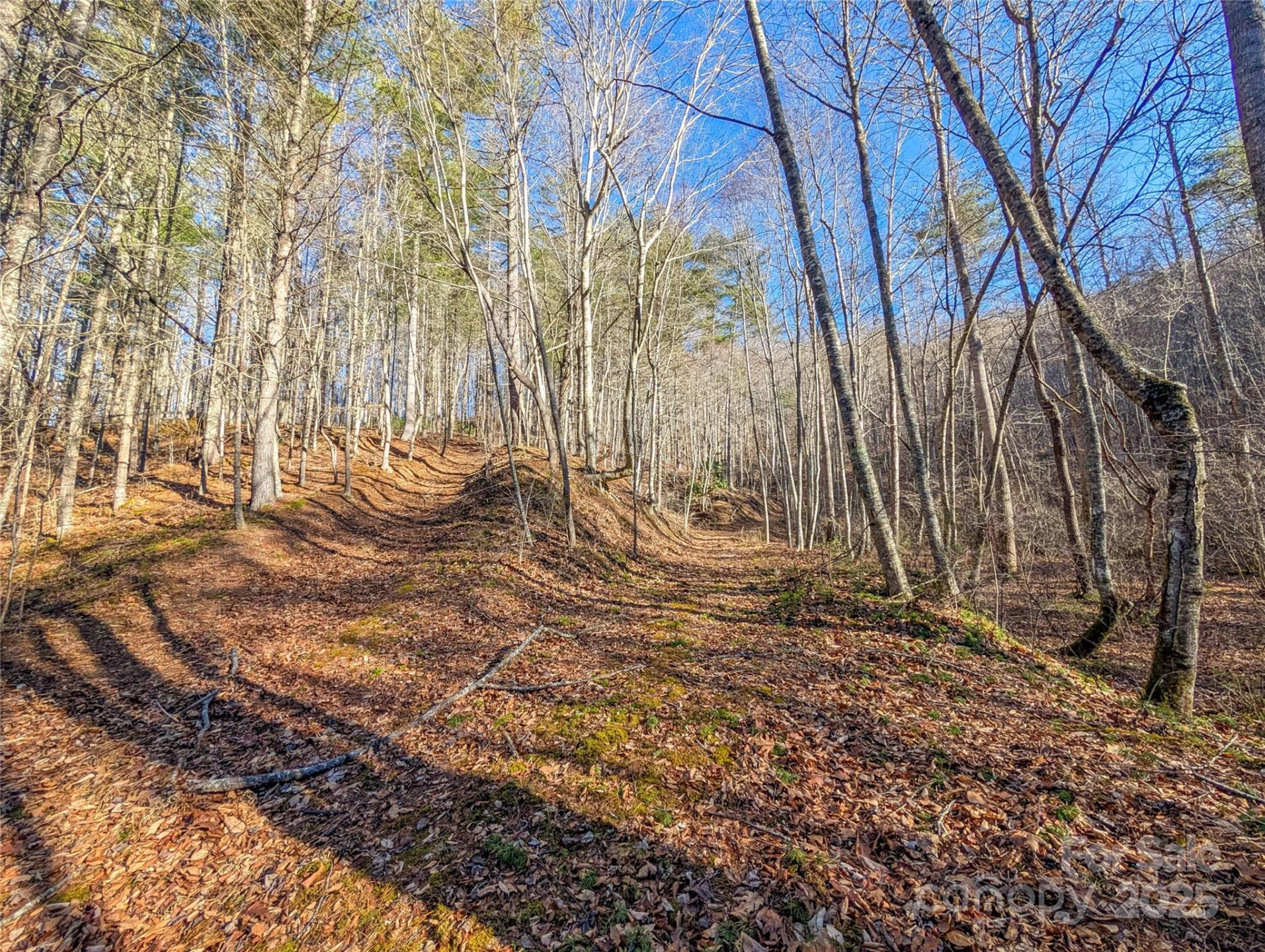 000 Bear Mountain Ridge - Photo 31