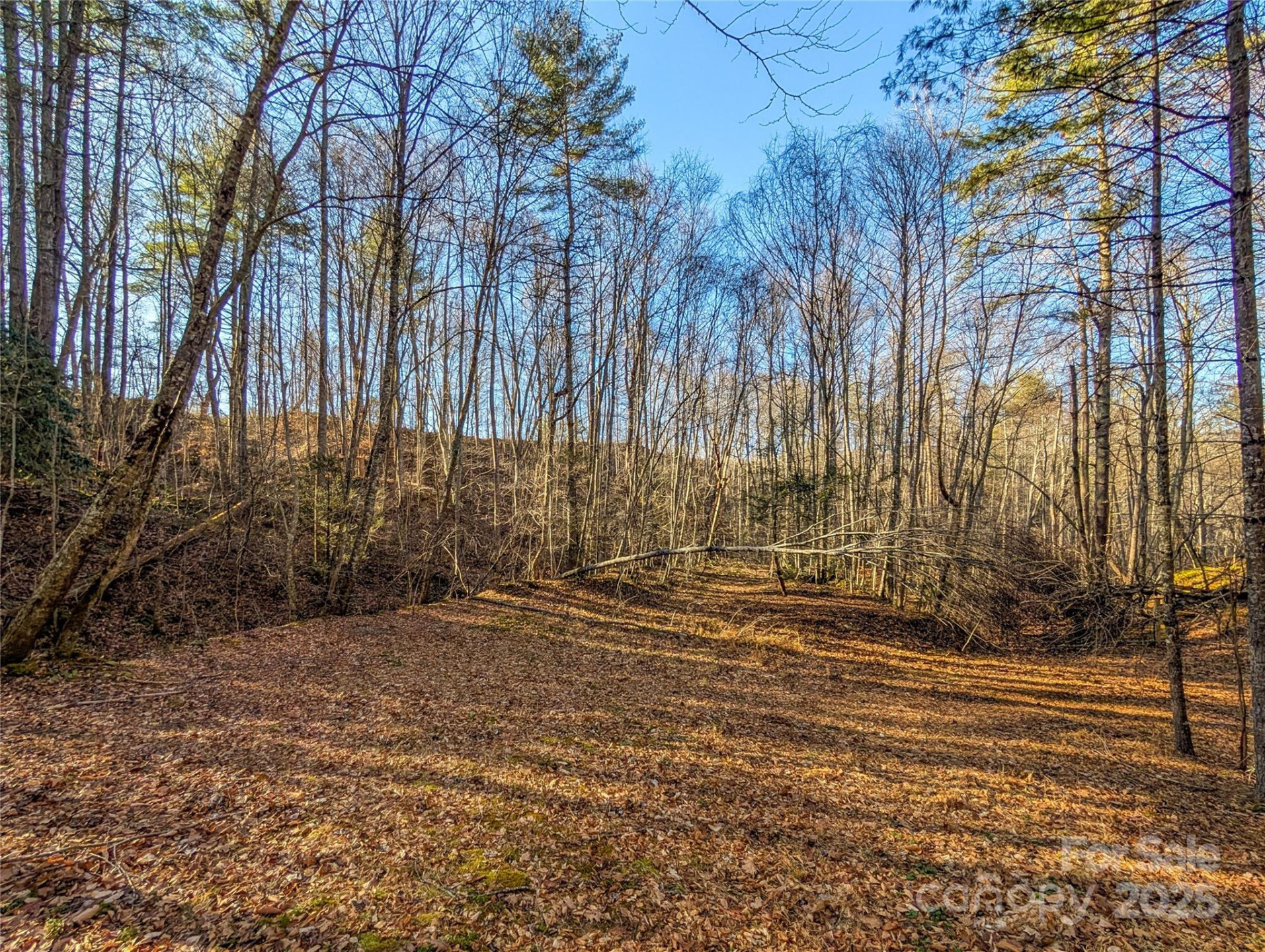 000 Bear Mountain Ridge - Photo 32