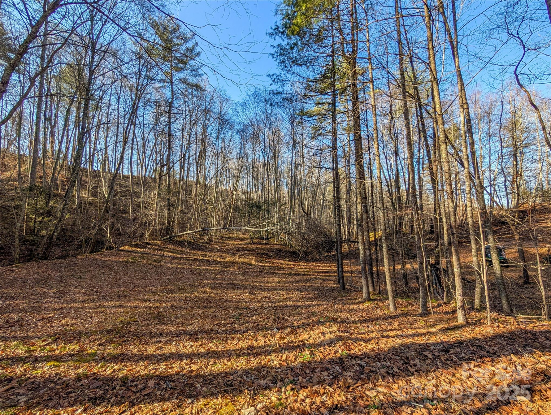 000 Bear Mountain Ridge - Photo 33