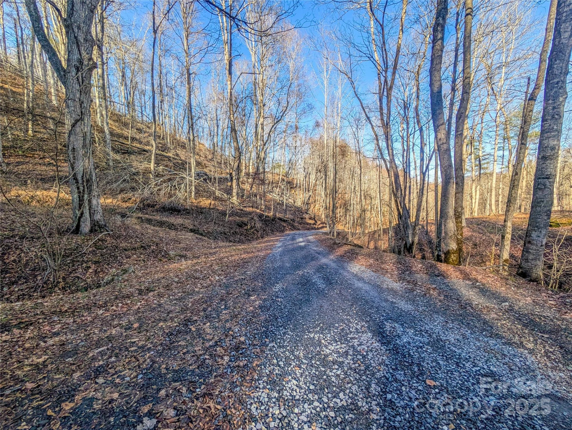 000 Bear Mountain Ridge - Photo 34