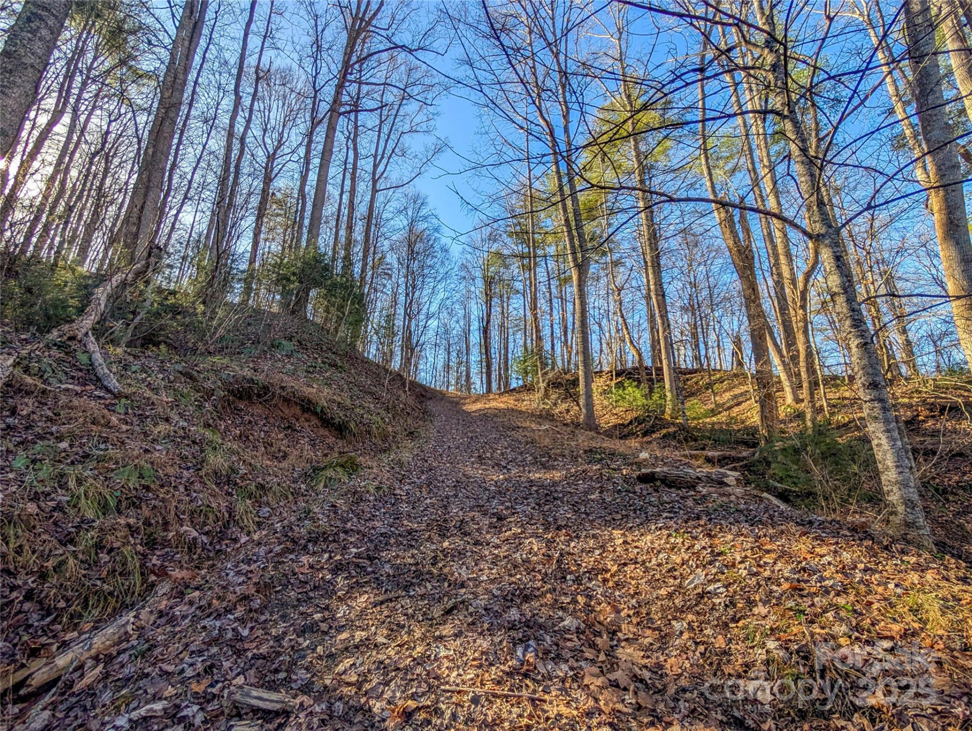 000 Bear Mountain Ridge - Photo 5