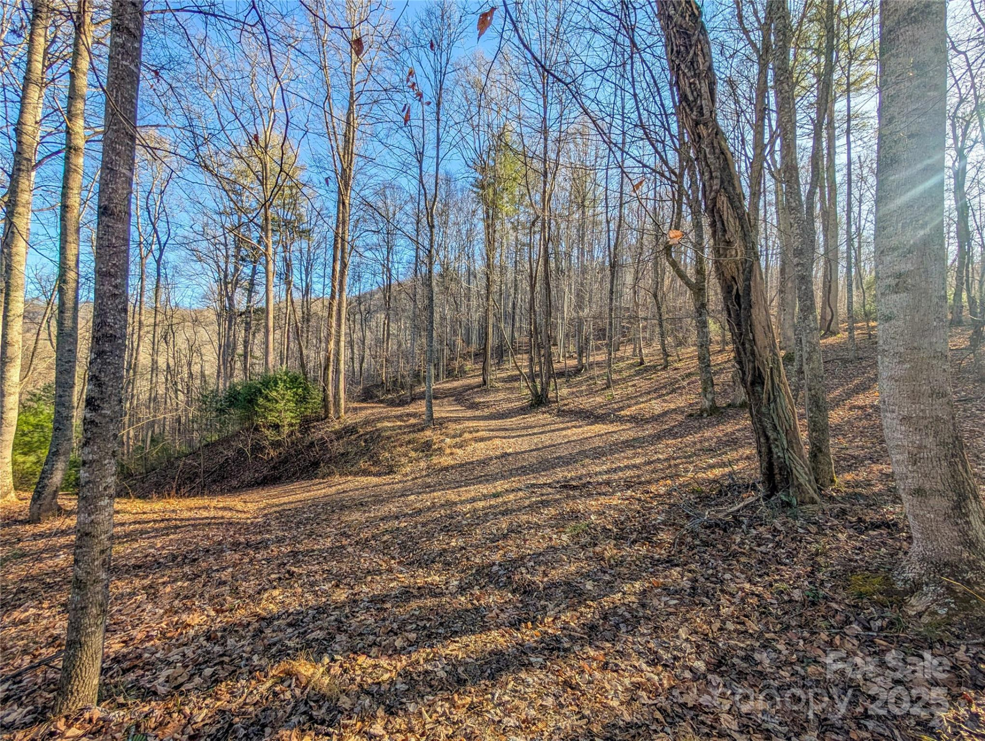 000 Bear Mountain Ridge - Photo 6