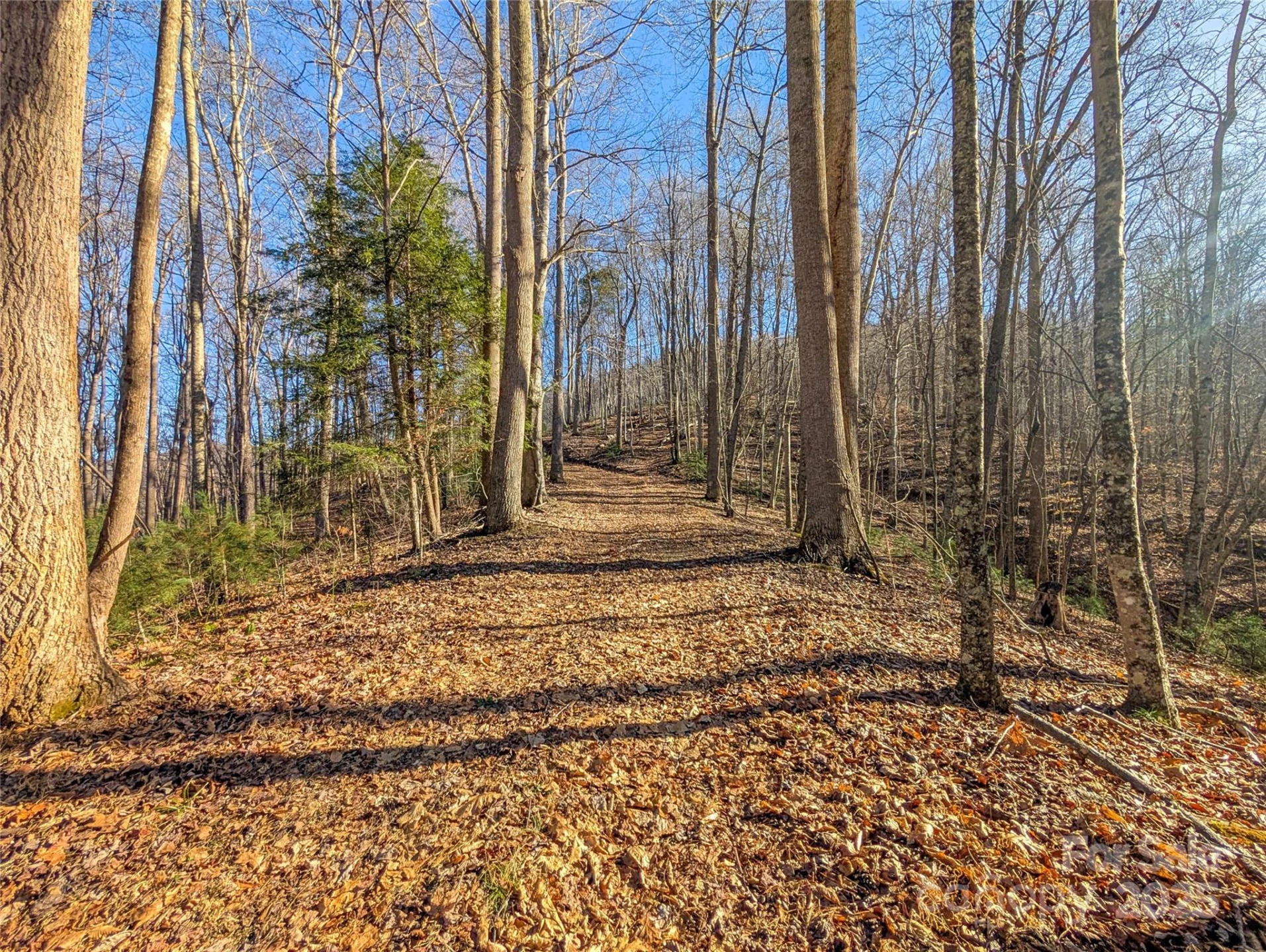 000 Bear Mountain Ridge - Photo 9