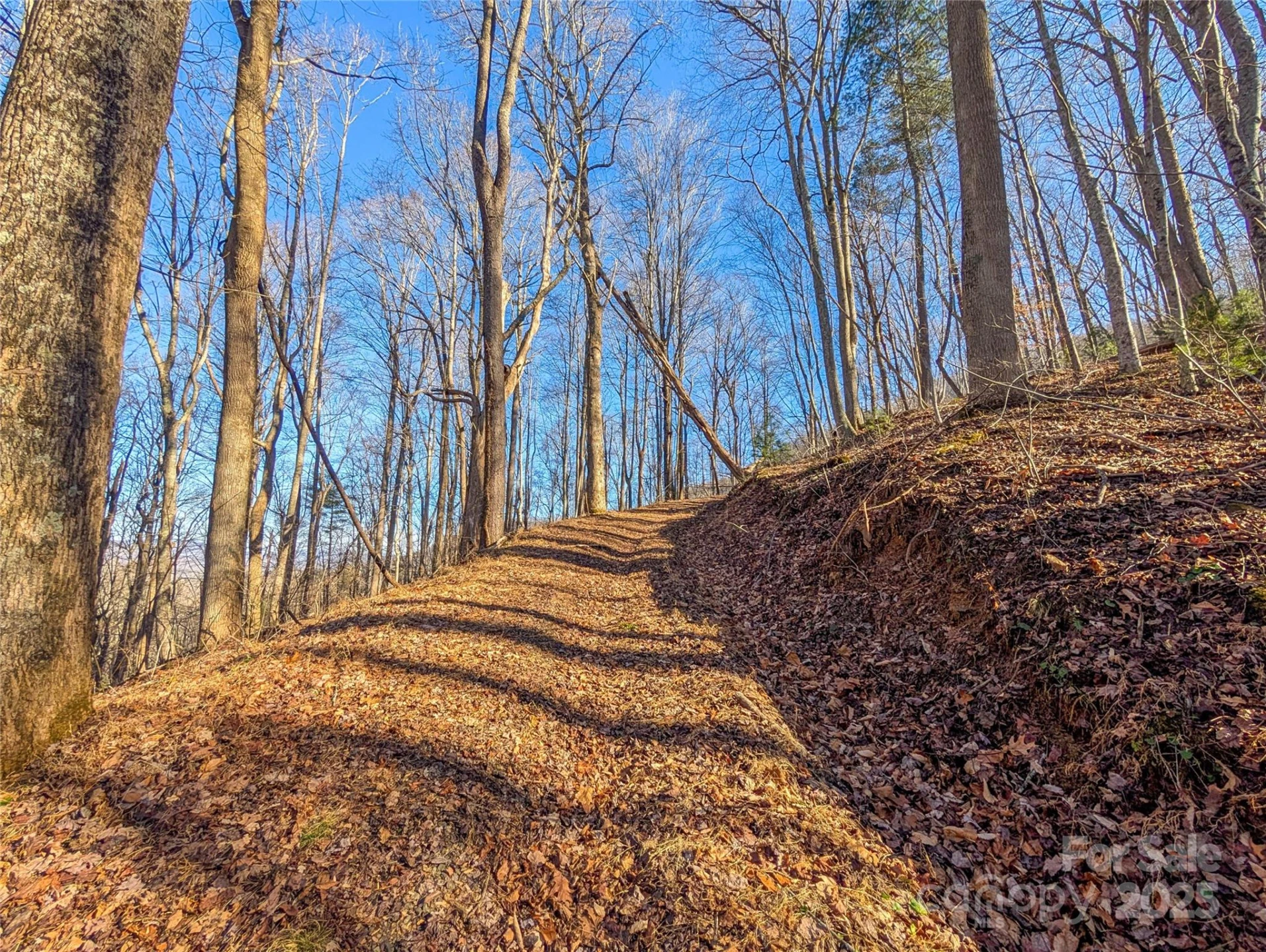 000 Bear Mountain Ridge - Photo 10
