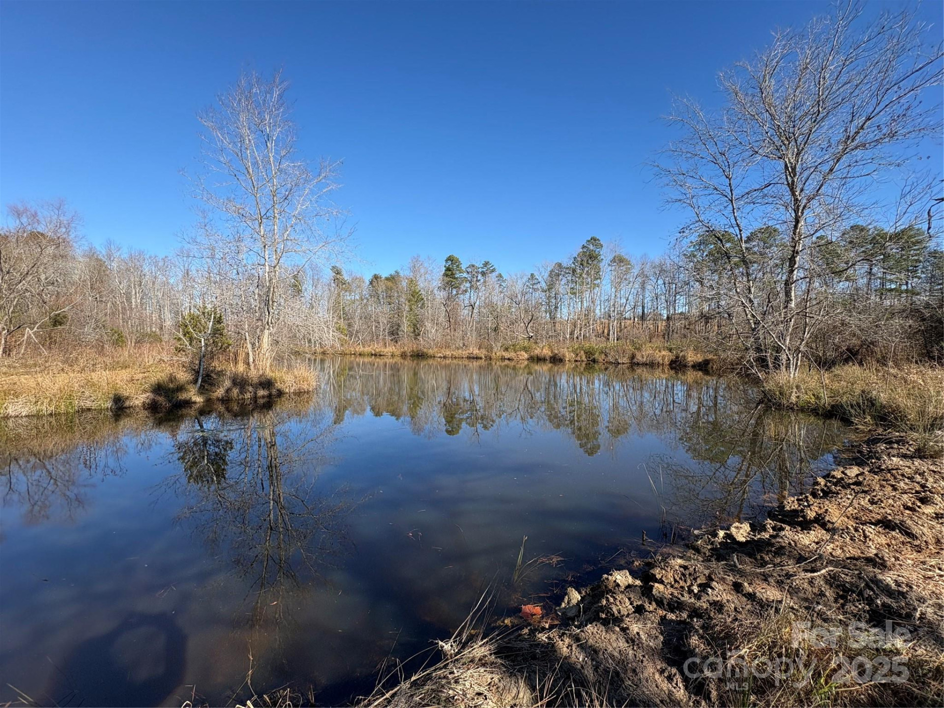00 Johnson Road - Photo 15