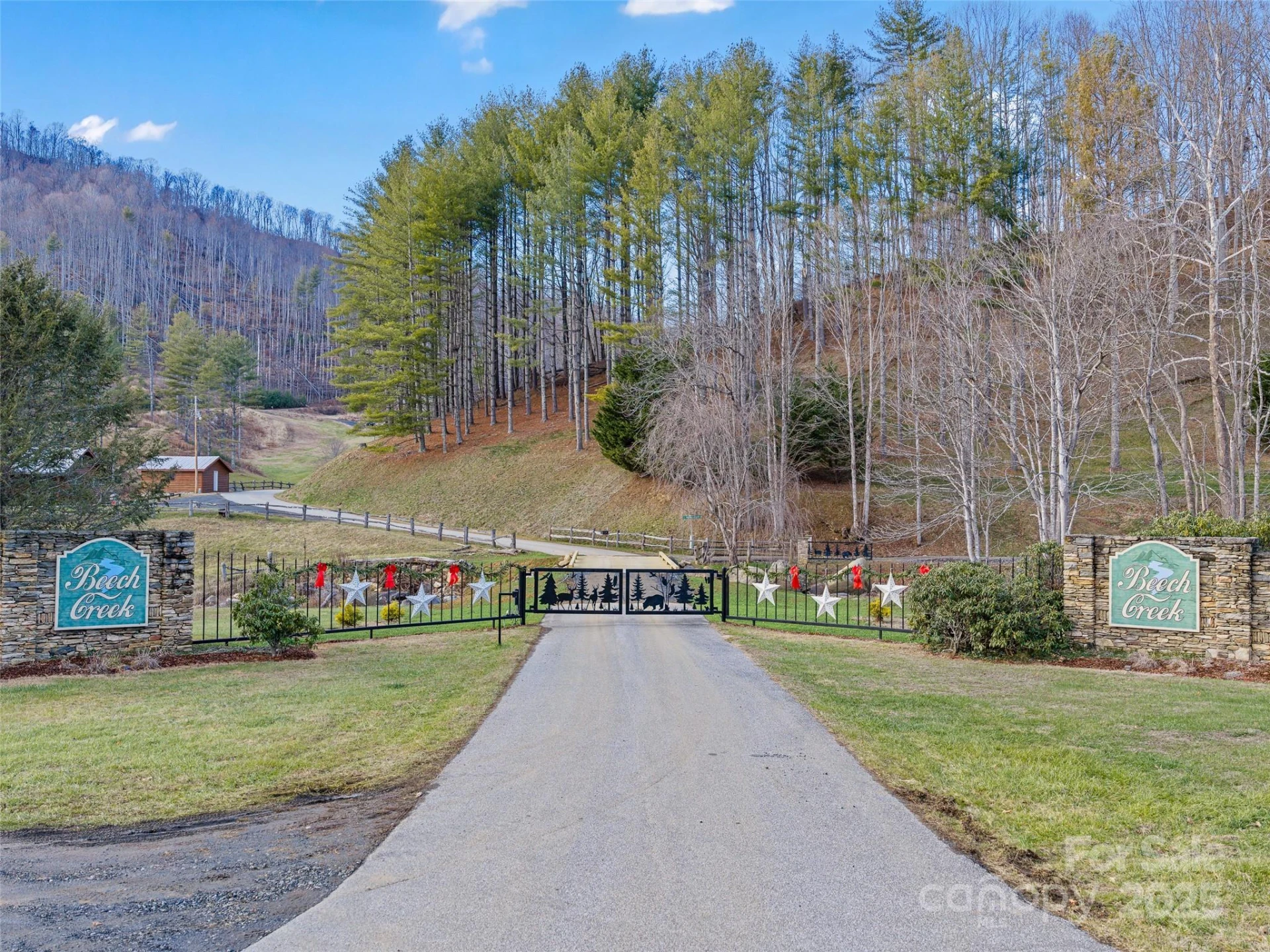 342 Big Rock Creek Drive - Photo 42