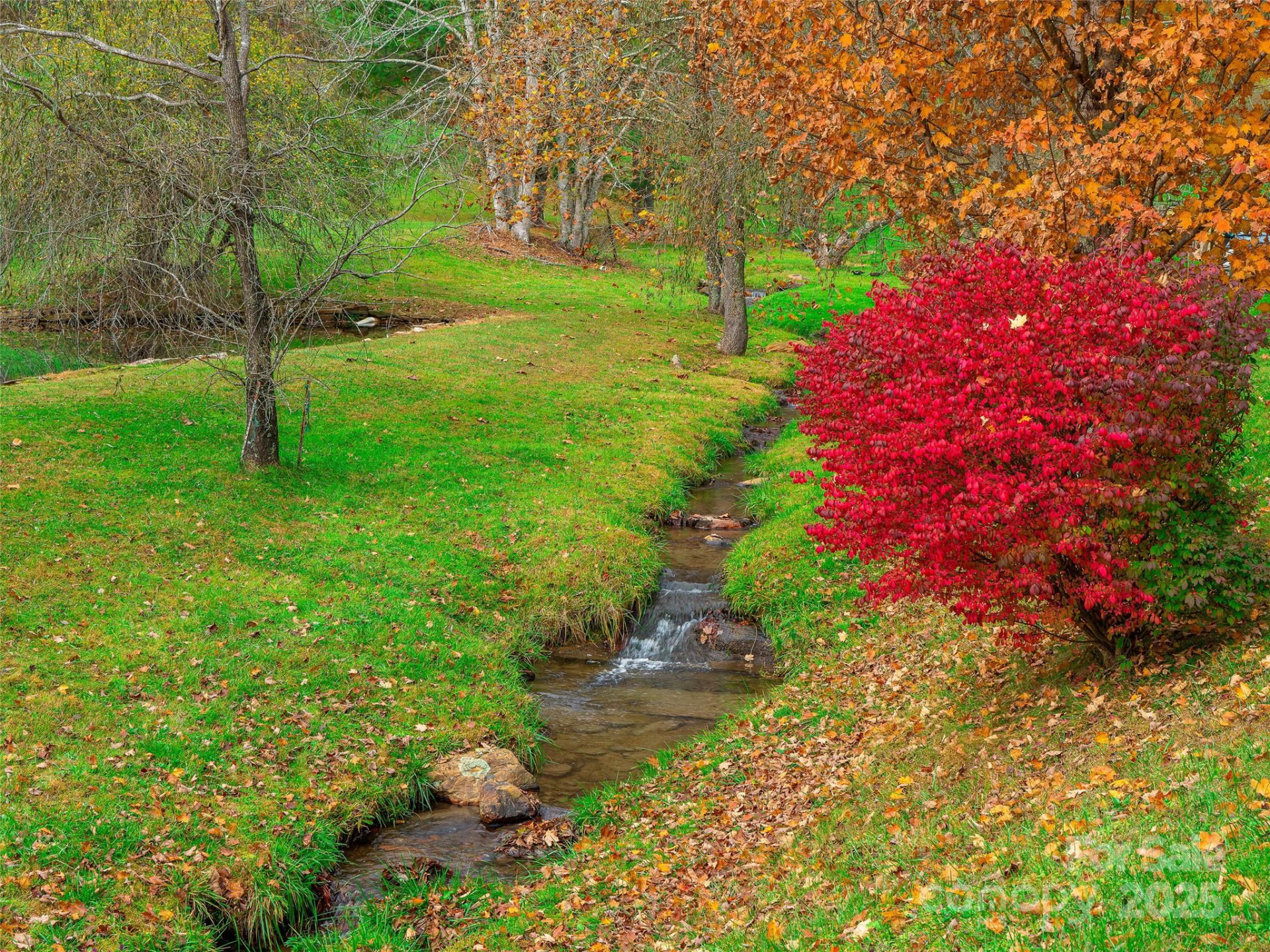 342 Big Rock Creek Drive - Photo 47