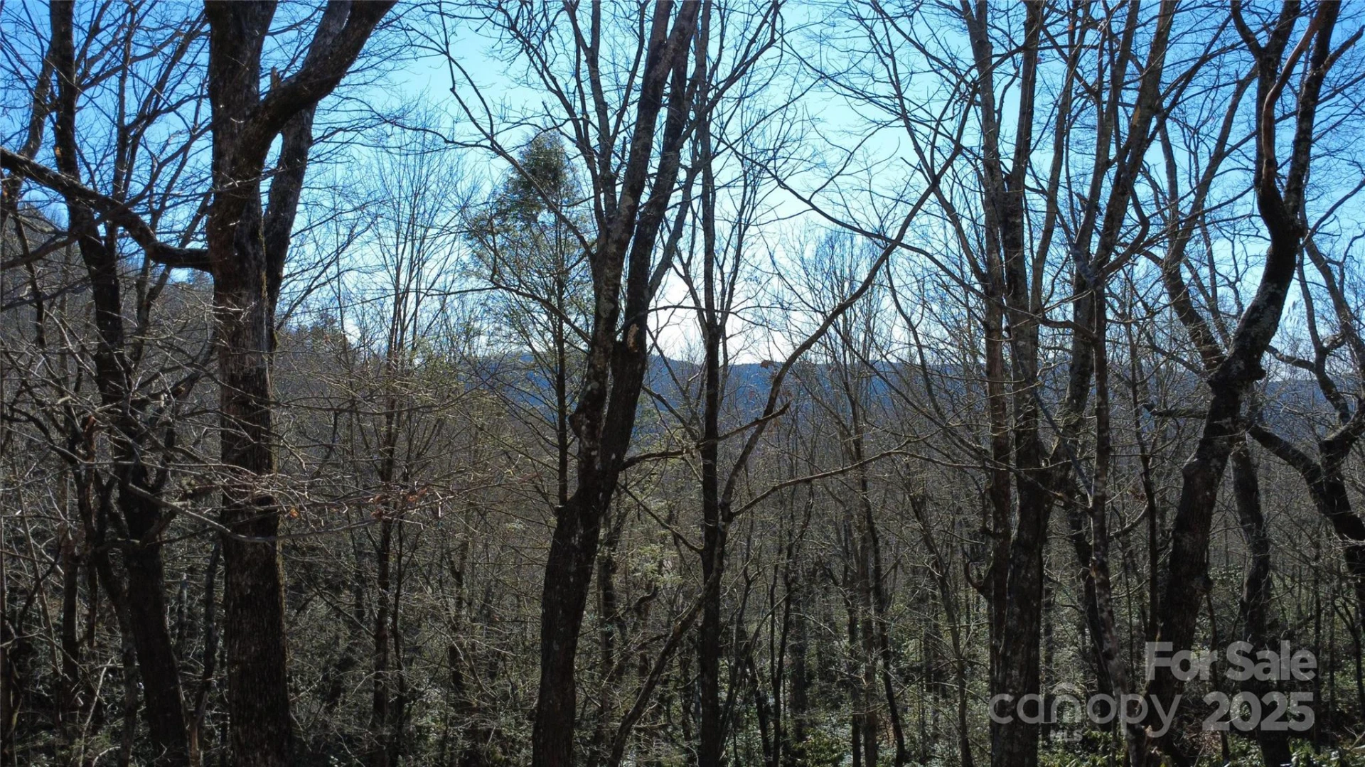 Lot 26 Big Branch Road