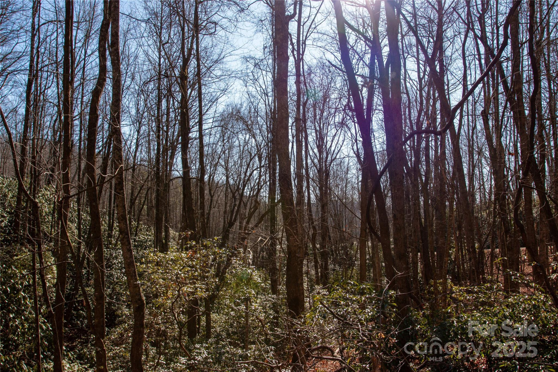 Lot 26 Big Branch Road - Photo 11