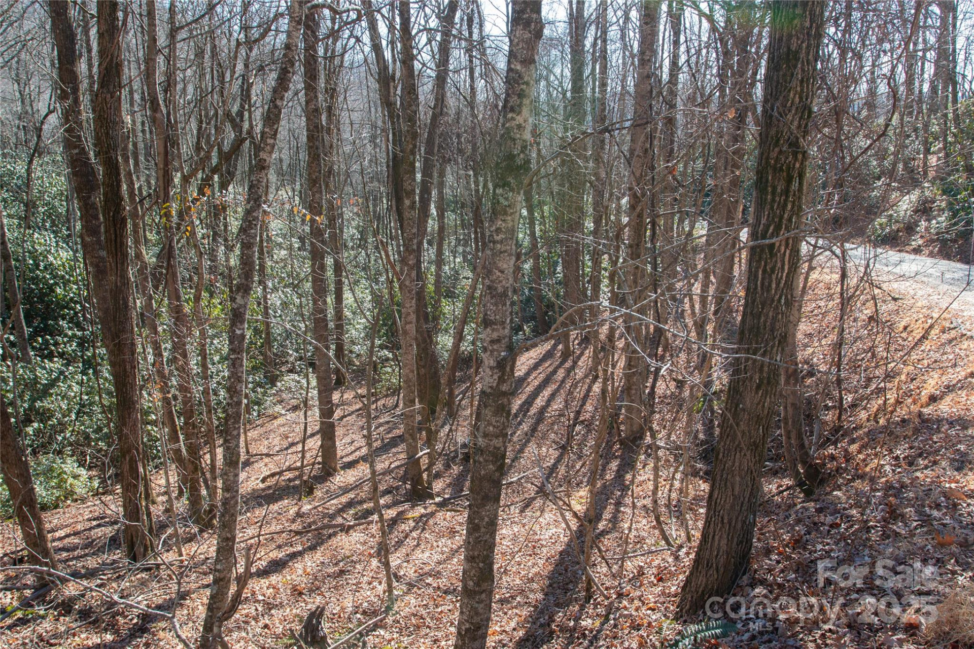 Lot 26 Big Branch Road - Photo 12
