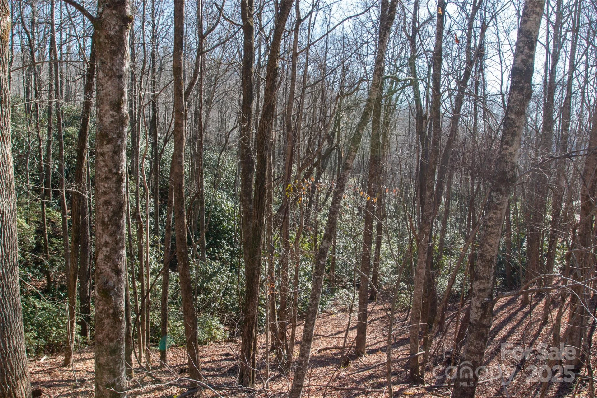 Lot 26 Big Branch Road - Photo 13