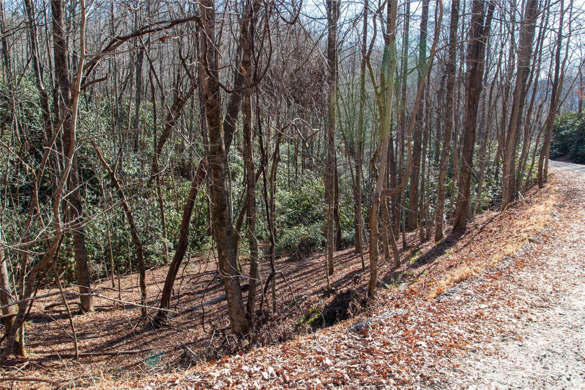 Lot 26 Big Branch Road - Photo 14