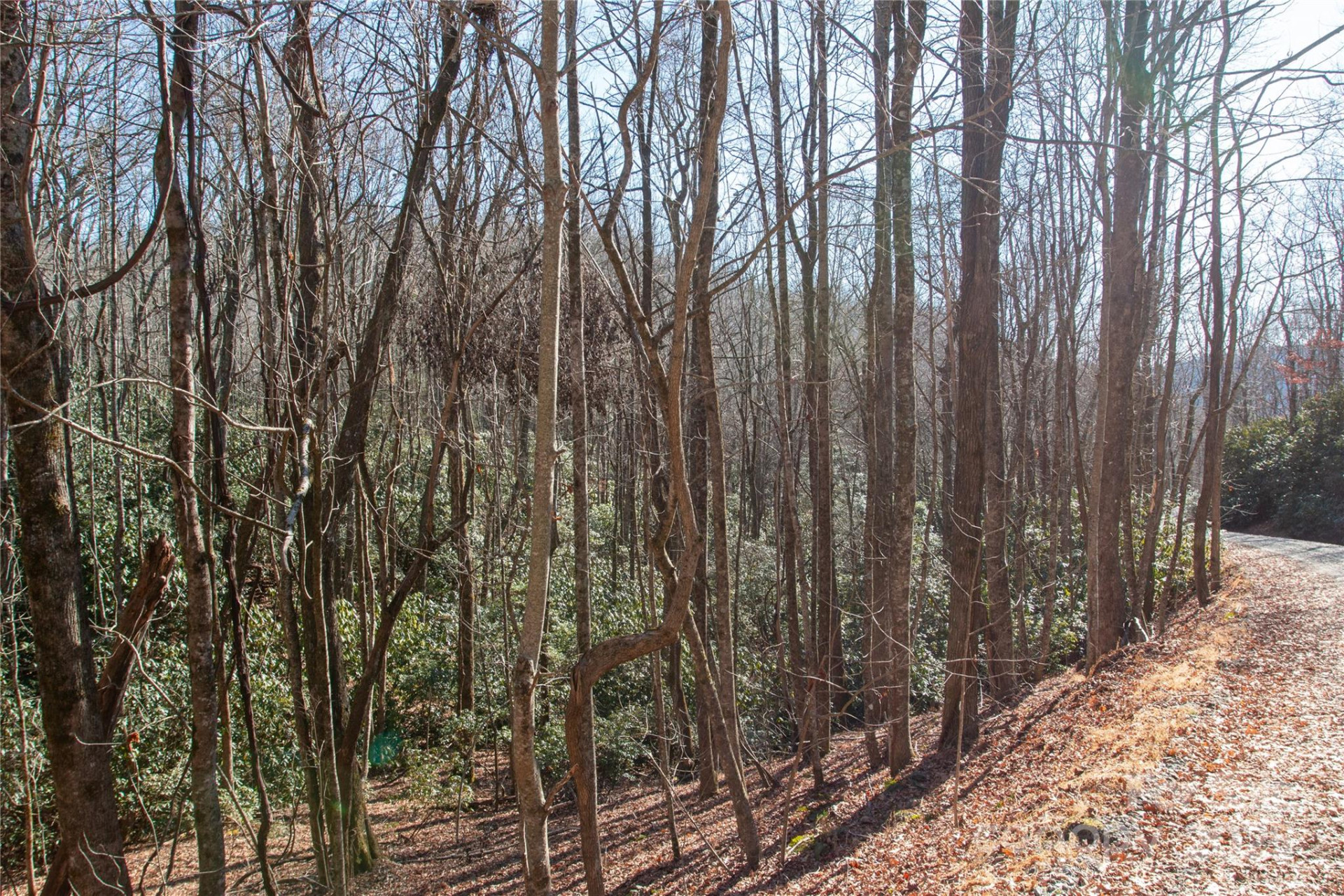 Lot 26 Big Branch Road - Photo 15