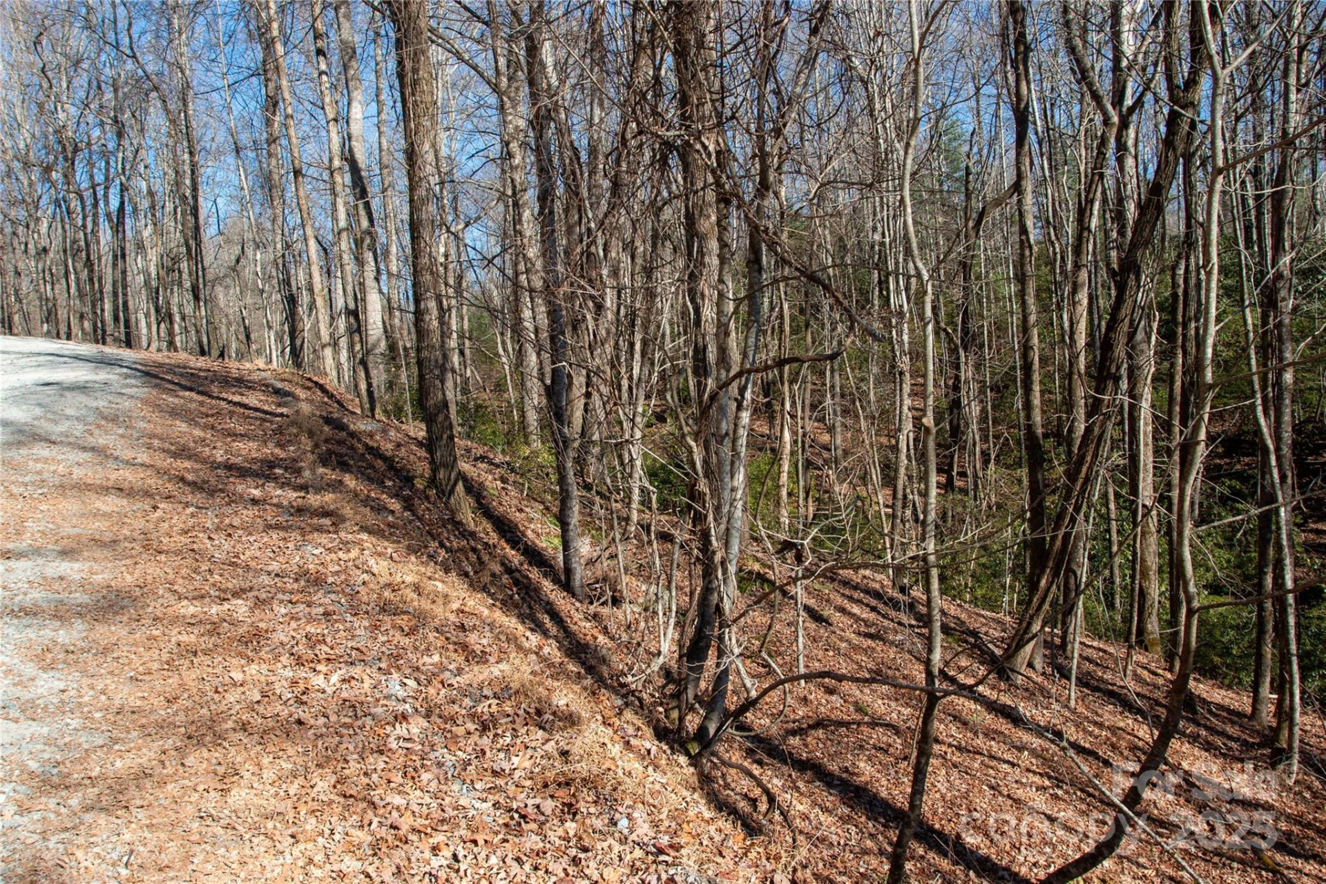 Lot 26 Big Branch Road - Photo 16
