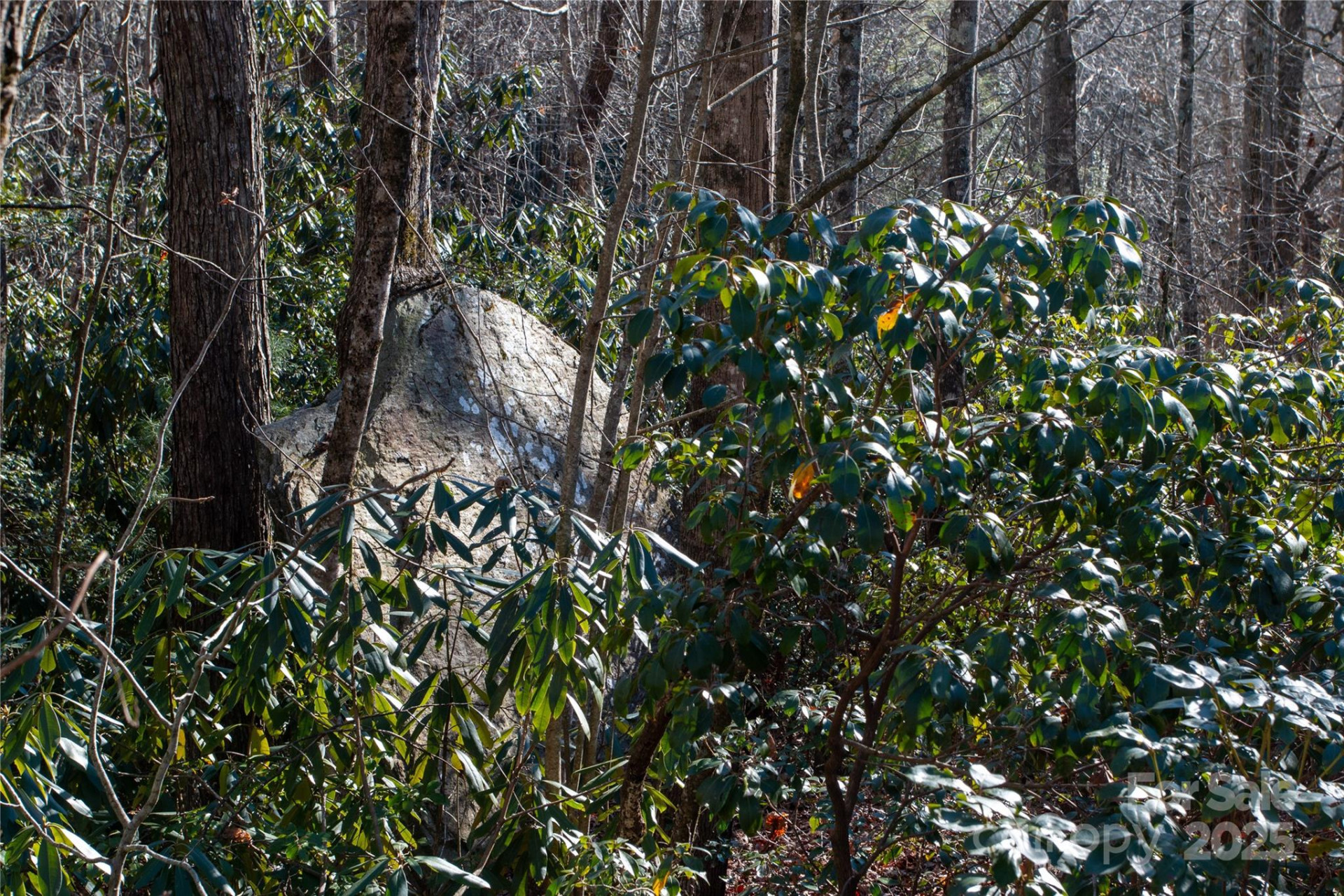 Lot 26 Big Branch Road - Photo 17