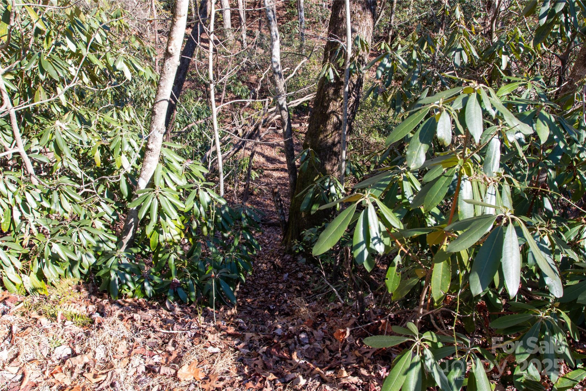 Lot 26 Big Branch Road - Photo 18