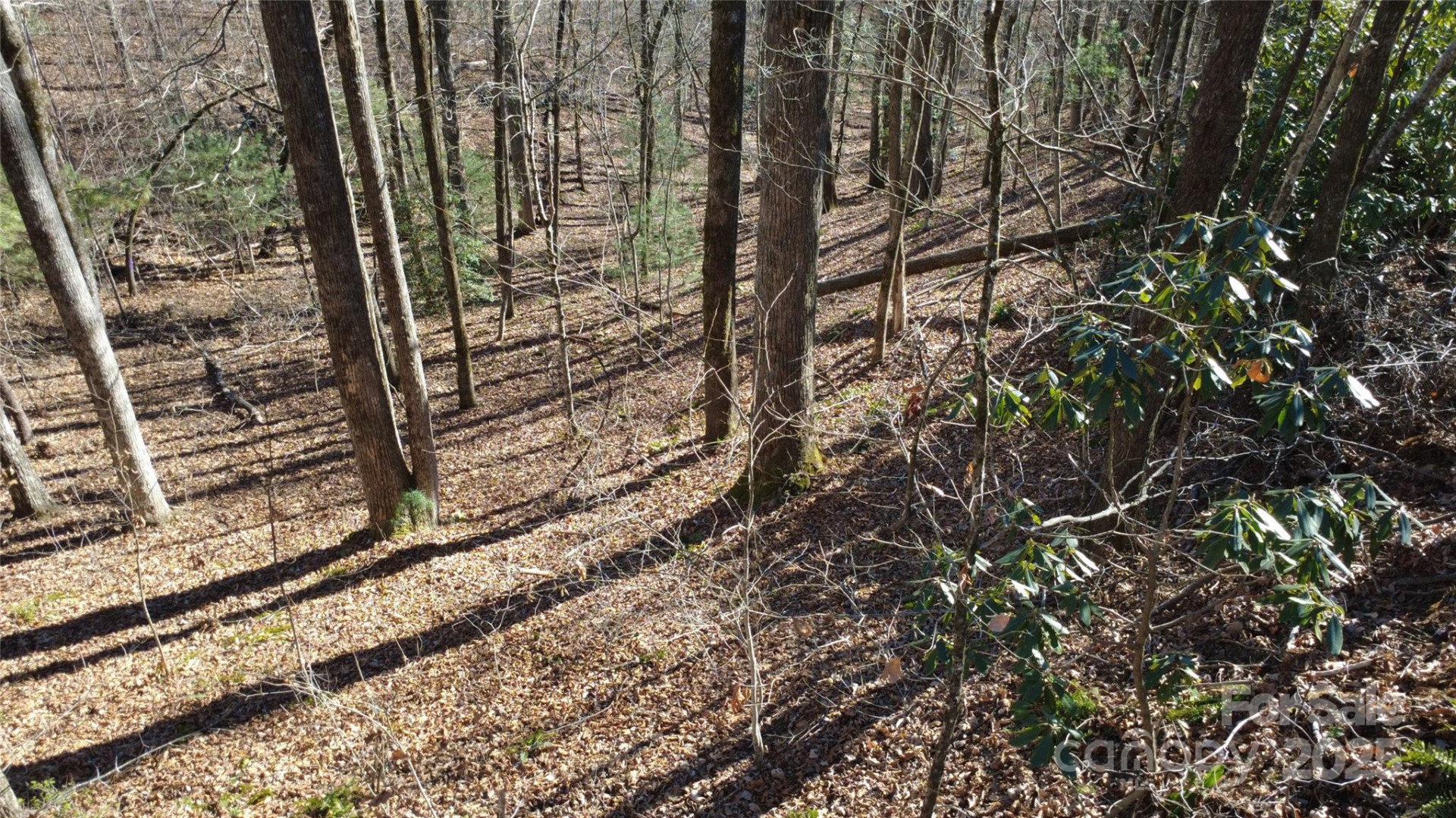 Lot 26 Big Branch Road - Photo 19