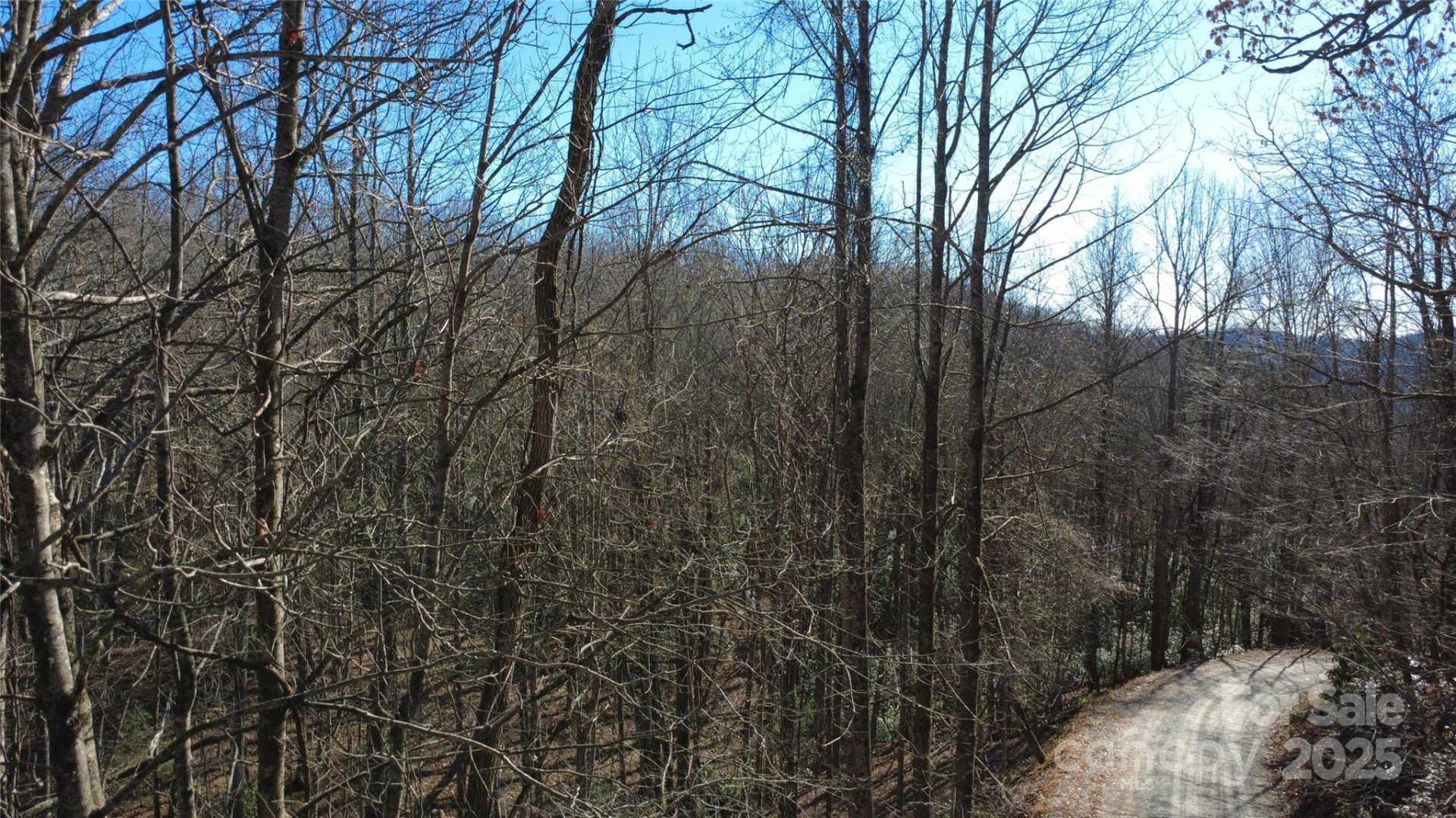 Lot 26 Big Branch Road - Photo 20