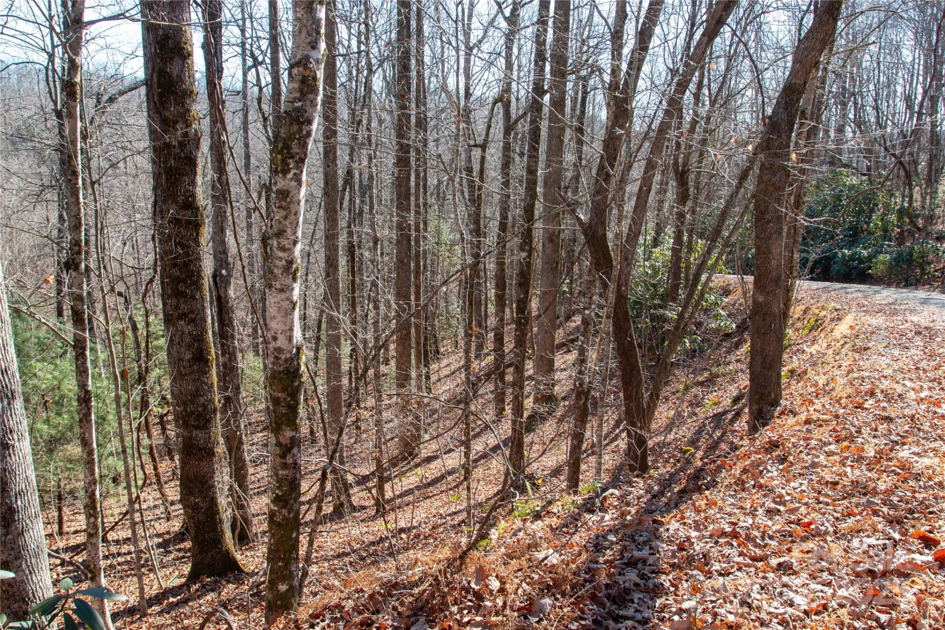 Lot 26 Big Branch Road - Photo 3