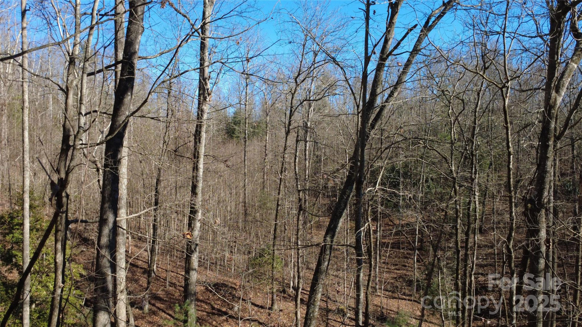 Lot 26 Big Branch Road - Photo 22