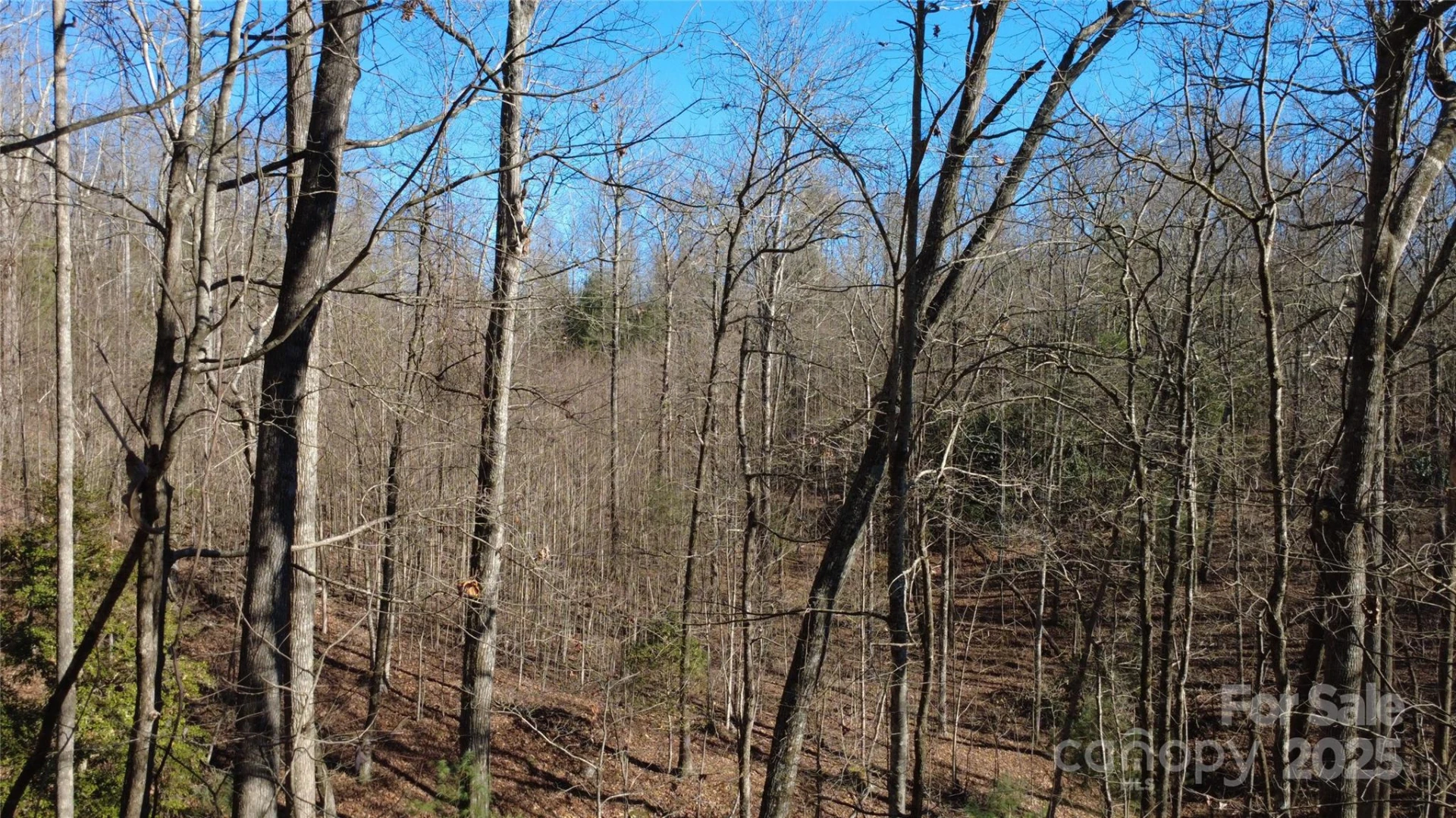 Lot 26 Big Branch Road - Photo 22