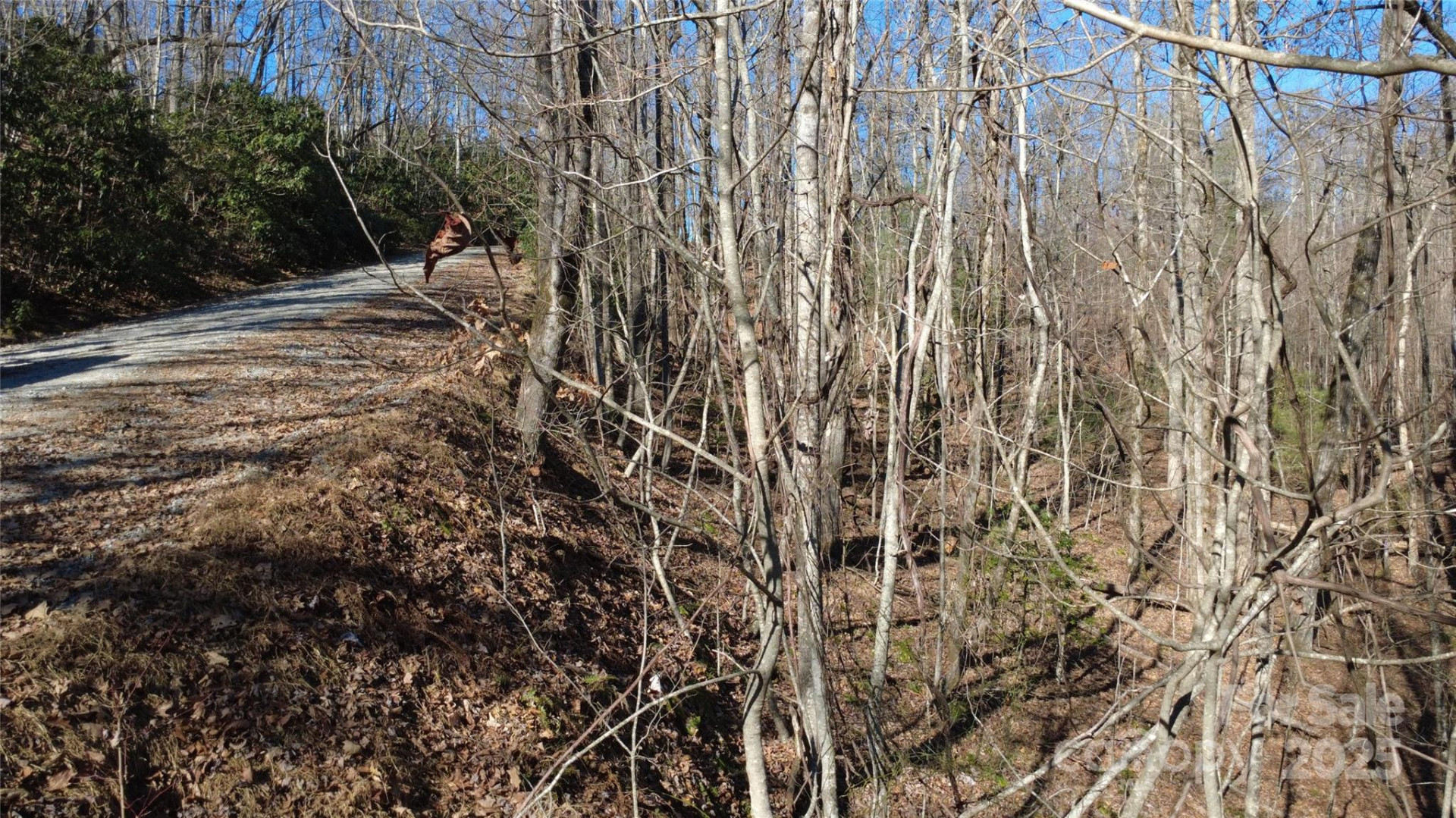 Lot 26 Big Branch Road - Photo 23