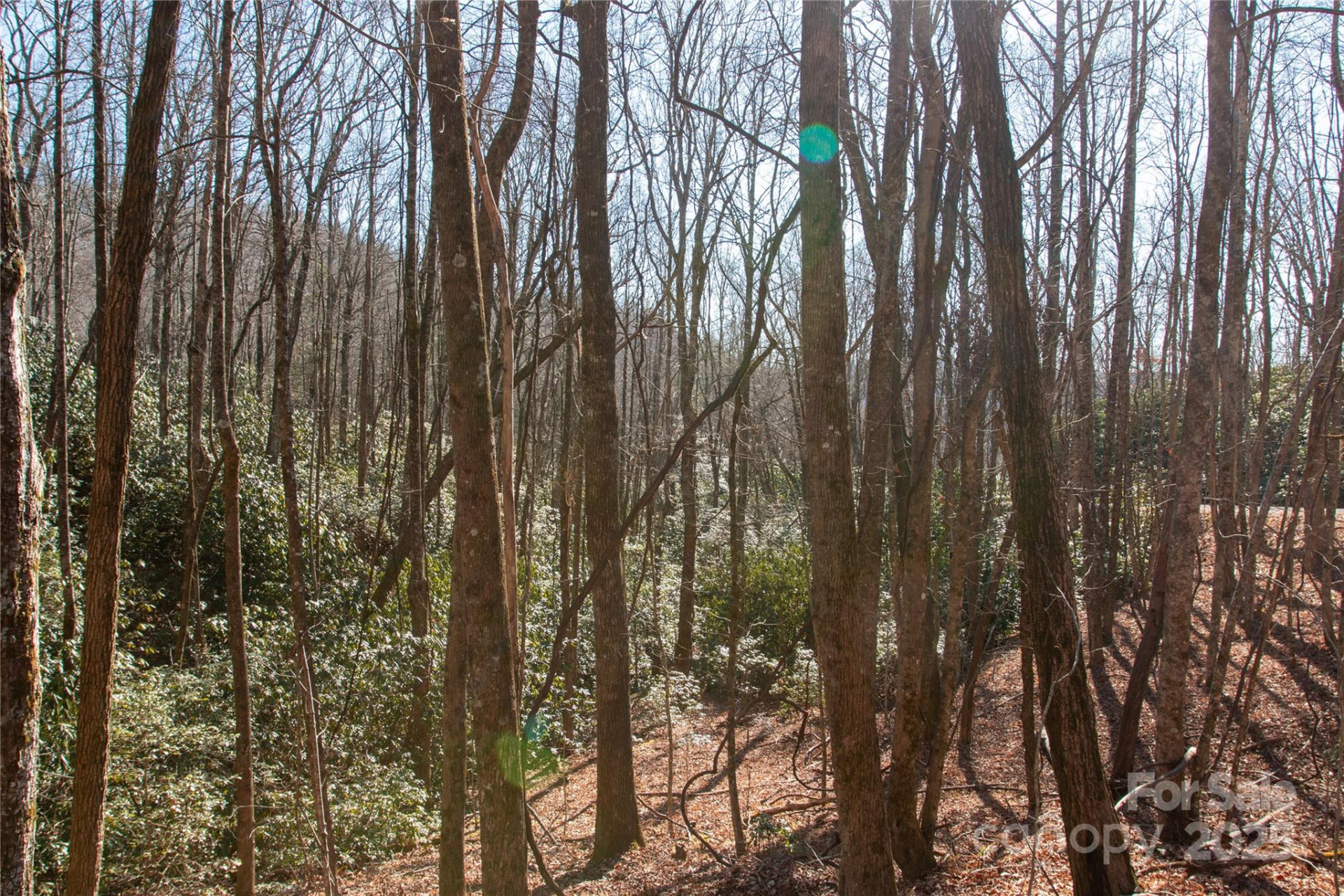 Lot 26 Big Branch Road - Photo 4