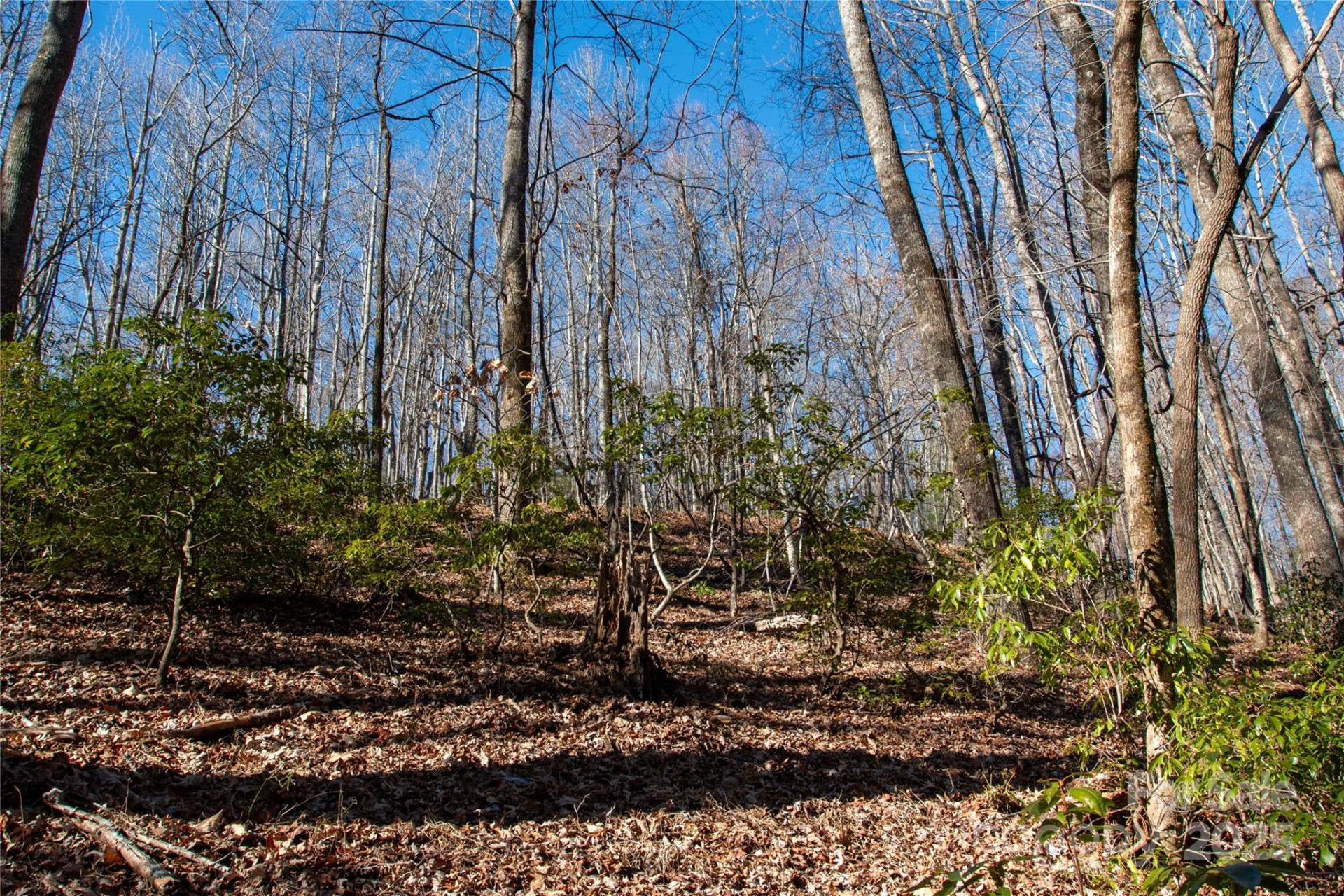 Lot 26 Big Branch Road - Photo 6