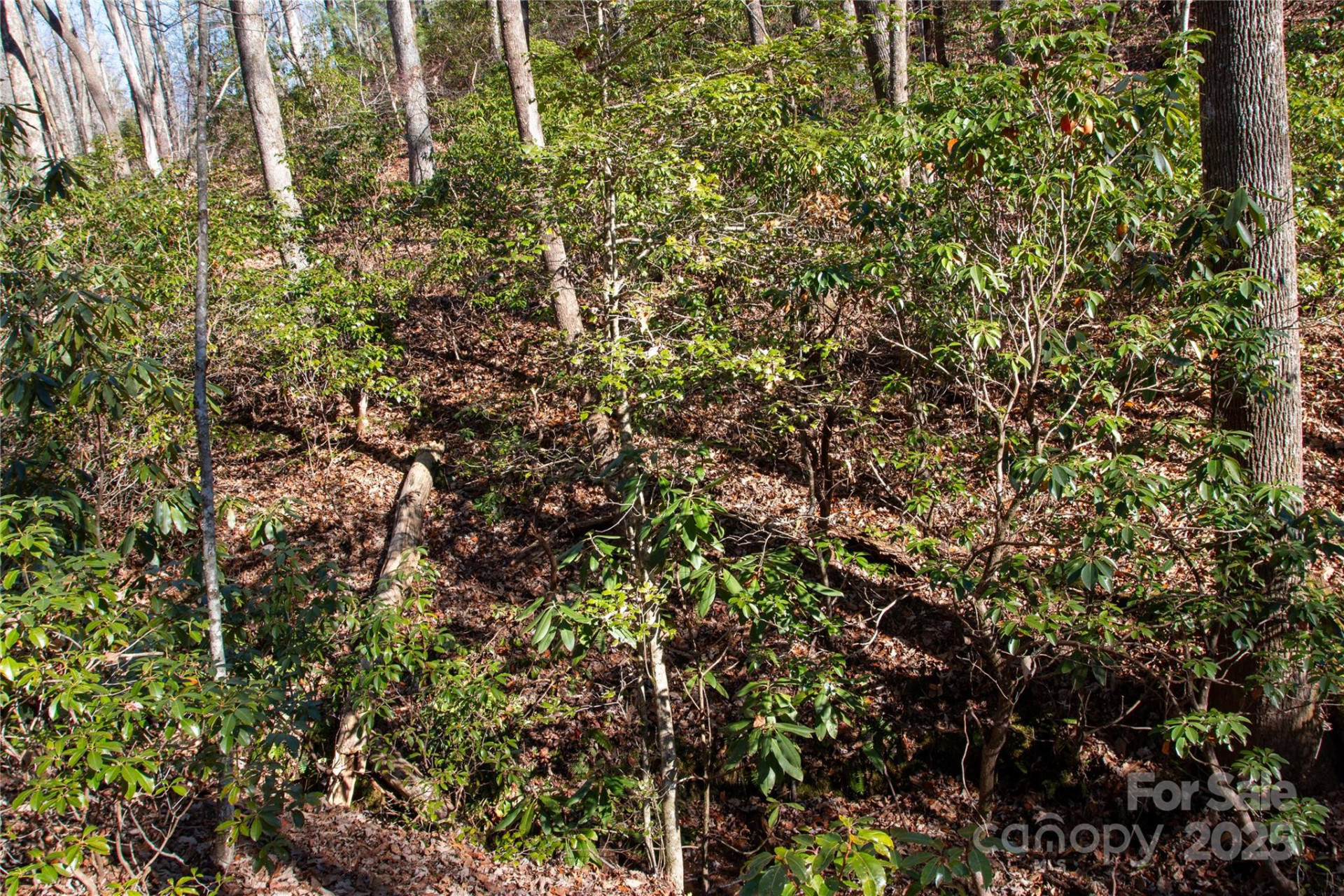 Lot 26 Big Branch Road - Photo 7