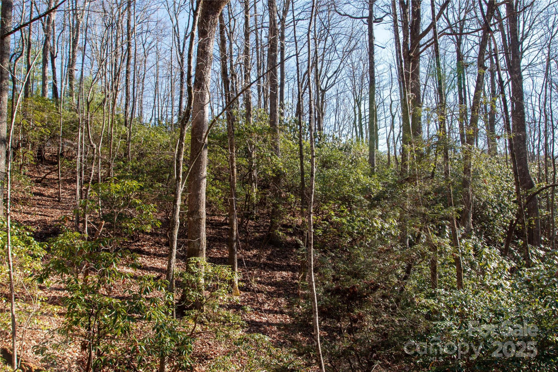 Lot 26 Big Branch Road - Photo 8